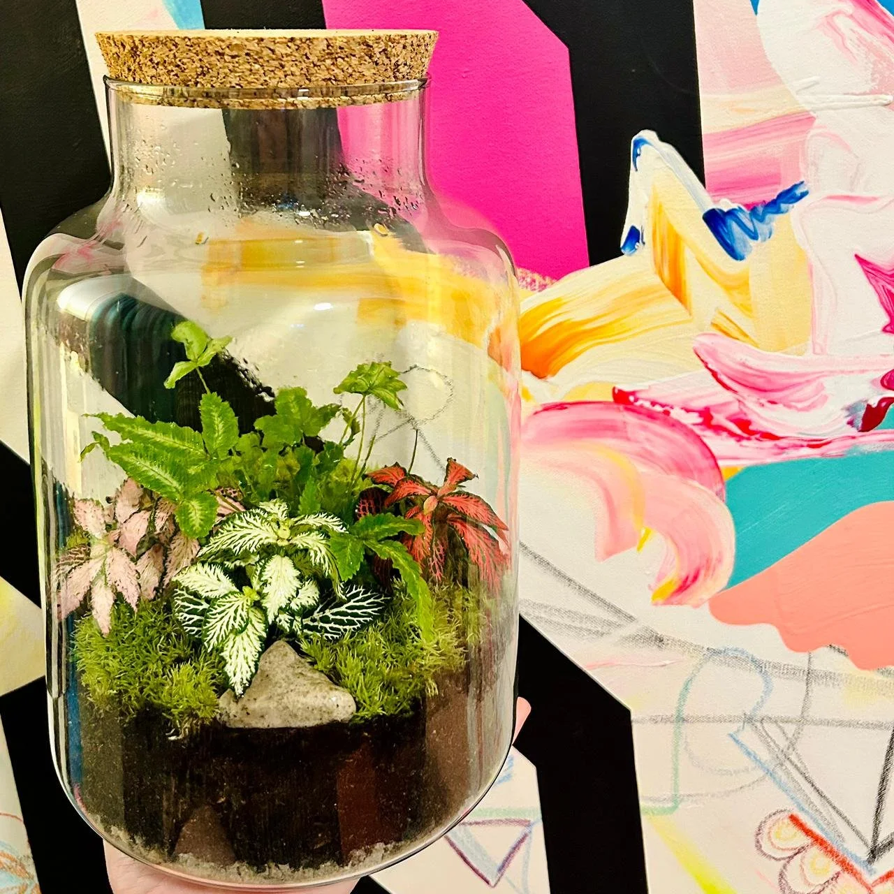 Corked Jar Terrarium               (14s and over)