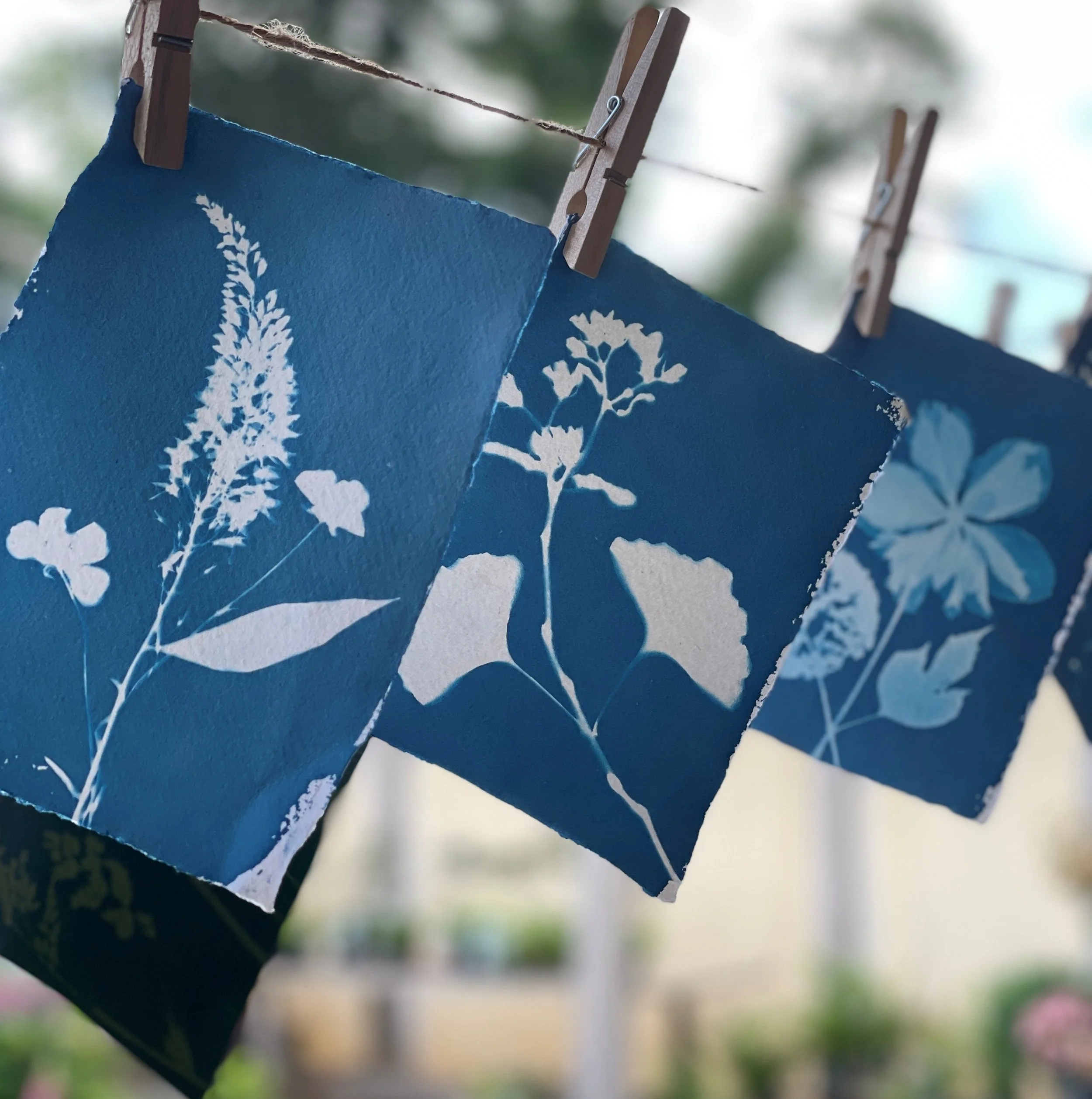 cyanotype.jpg