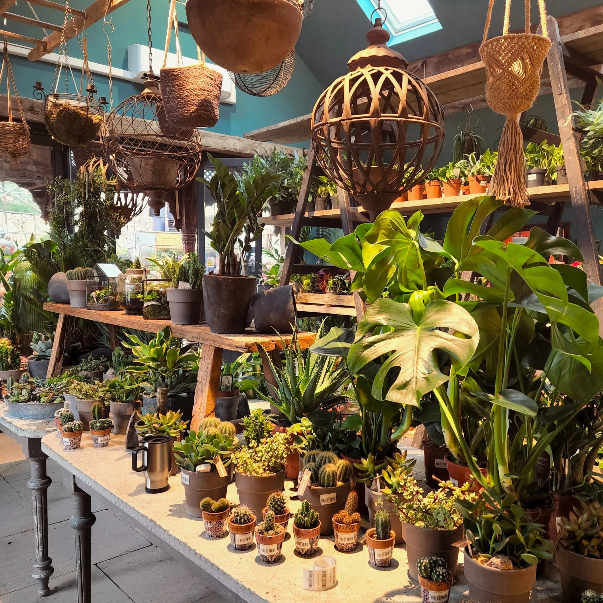 Part-Time Retail &amp; Houseplant Specialist 
