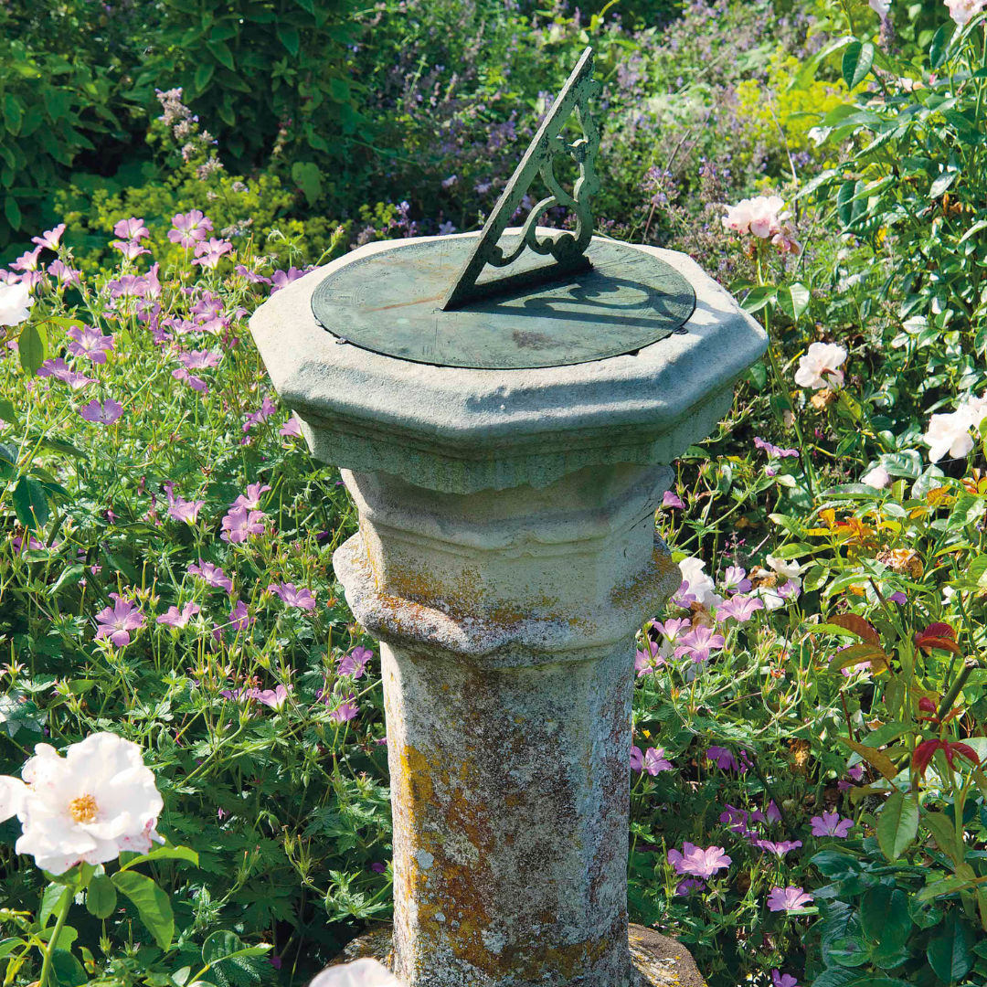 John’s February jobs for the garden…