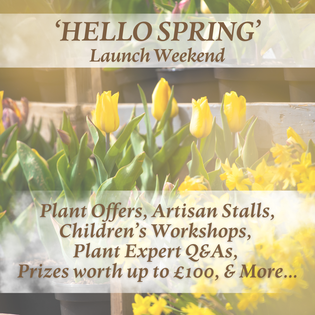 Spring Launch Weekend