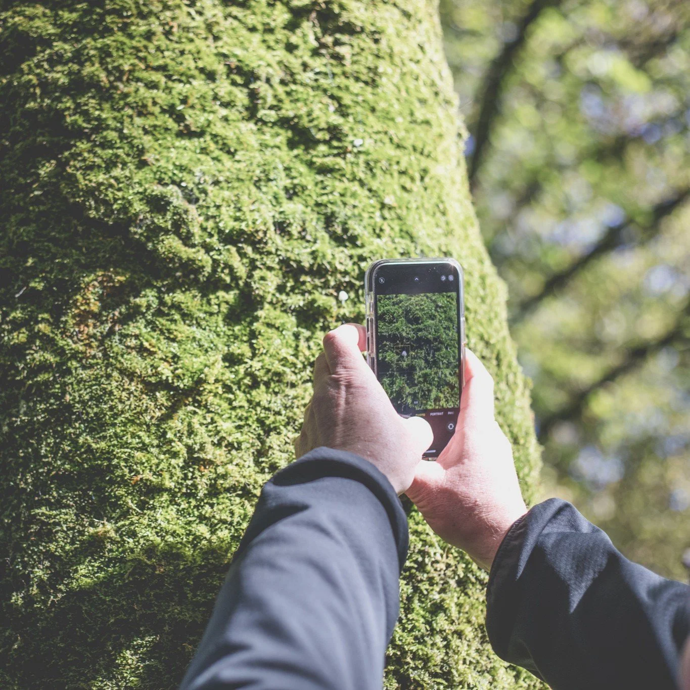 Nature Through a Lens 13th Oct 22 Ginny Koppenhol Photography LOW RES-21.jpg