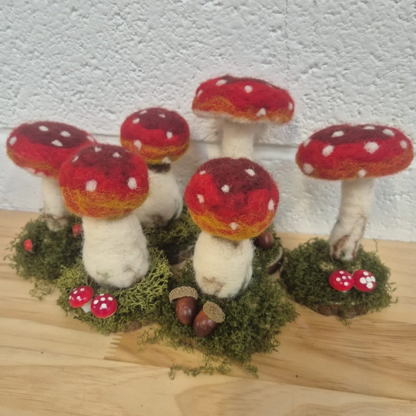 Needle Felting Mushroom Workshop