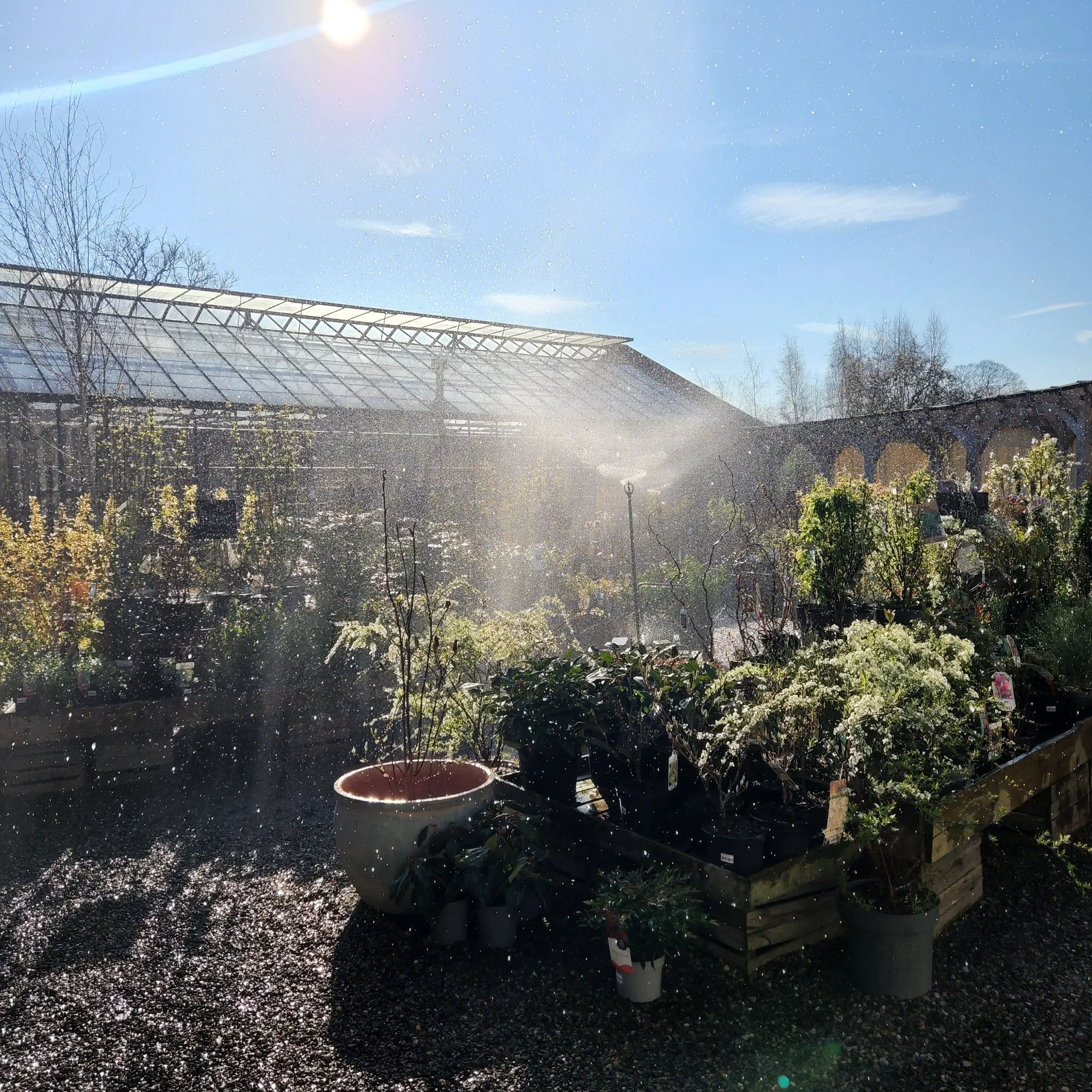 John’s May jobs for the garden…