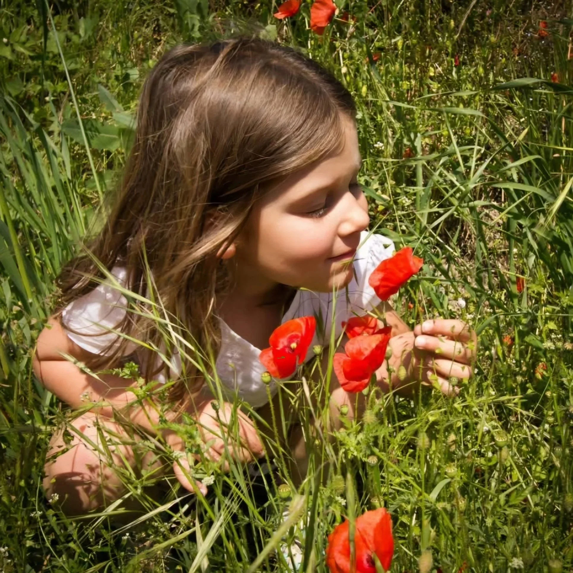 A Beginner’s DSLR Camera &amp; Photography Workshop