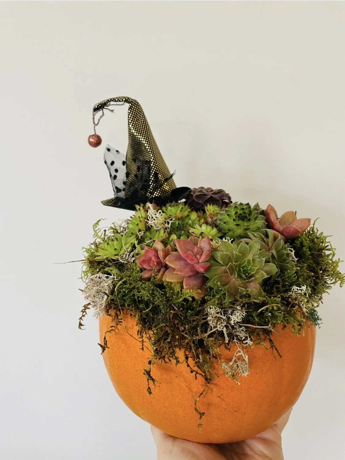 Pumpkin Planter workshop image.jpg