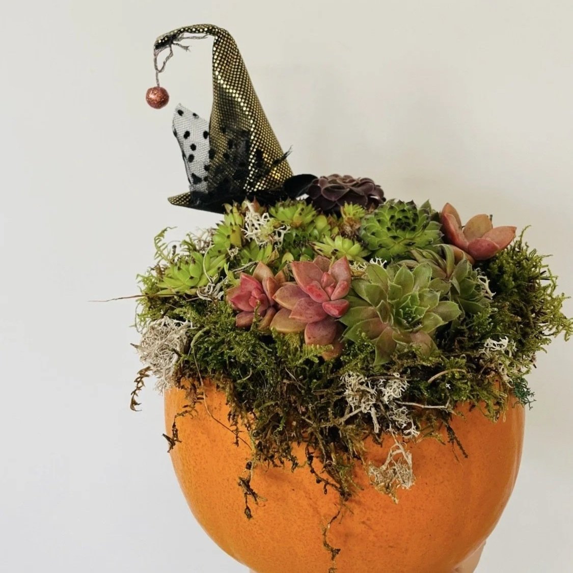 Pumpkin Planter Workshop