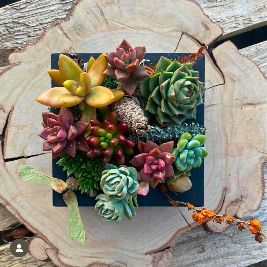Living Art Workshop