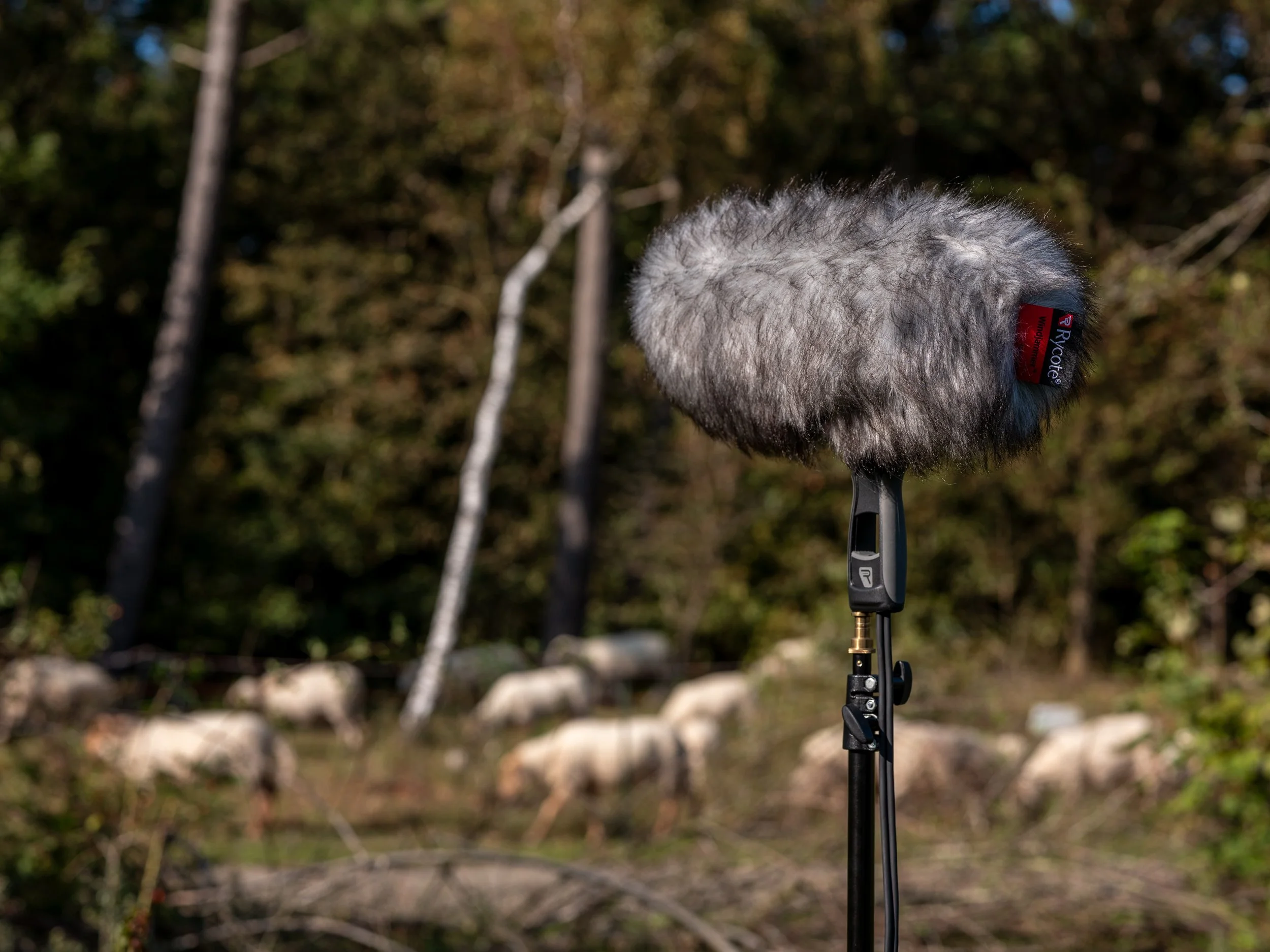 Field Recording