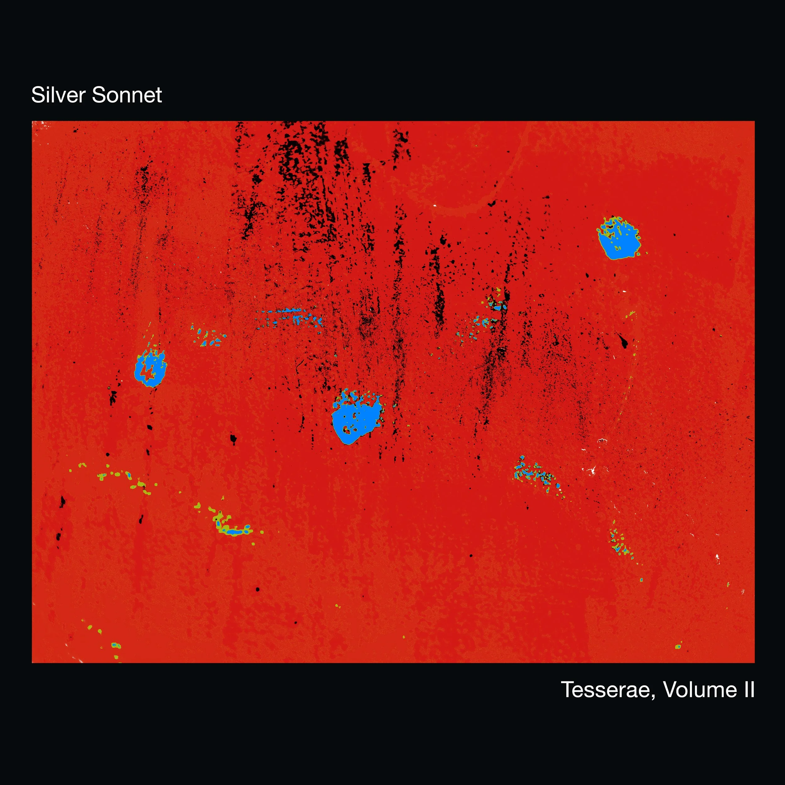 Silver Sonnet