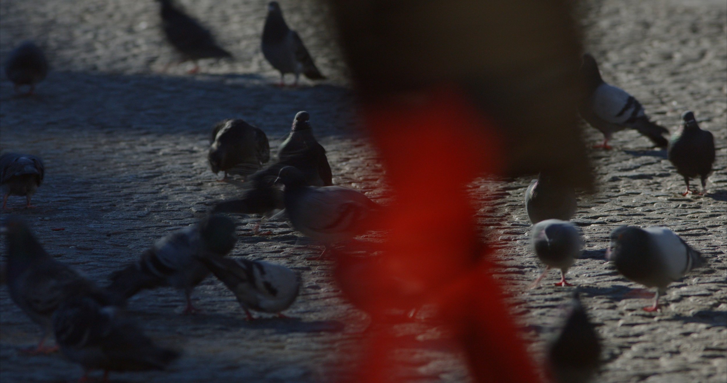 CC Edit V15_01_05_12_16.jpg