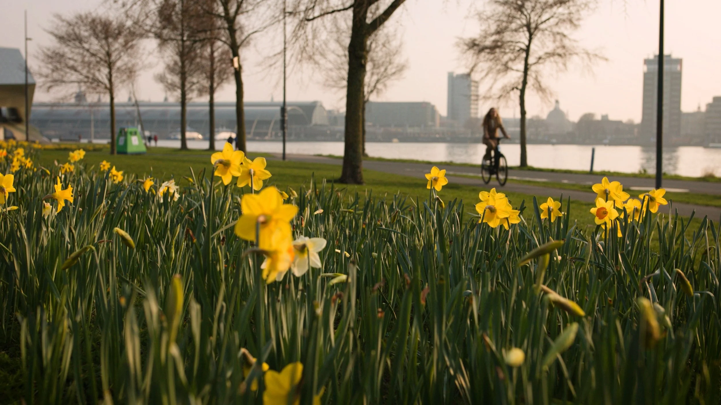 THIS_Amsterdam_Still_V9.jpg