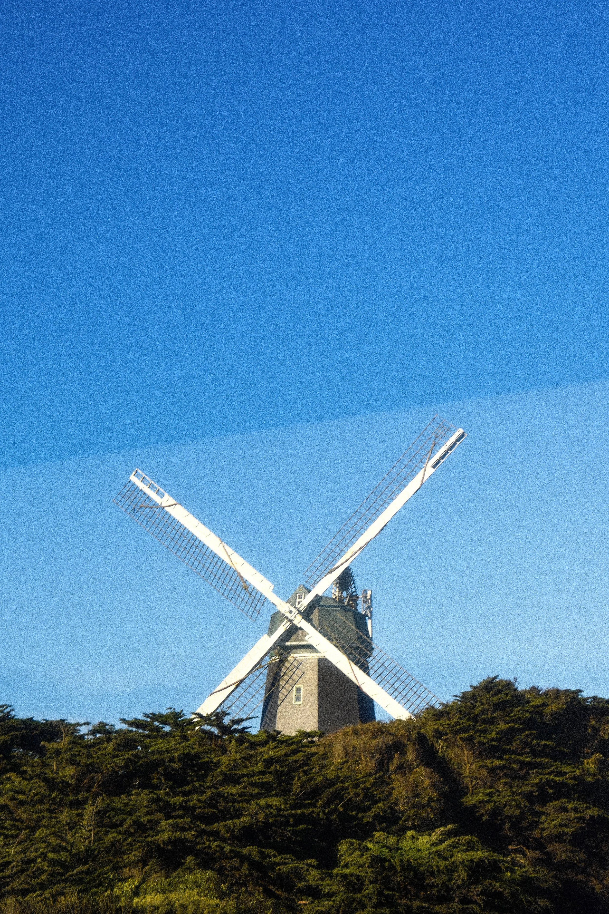 AJW_0108.jpg
