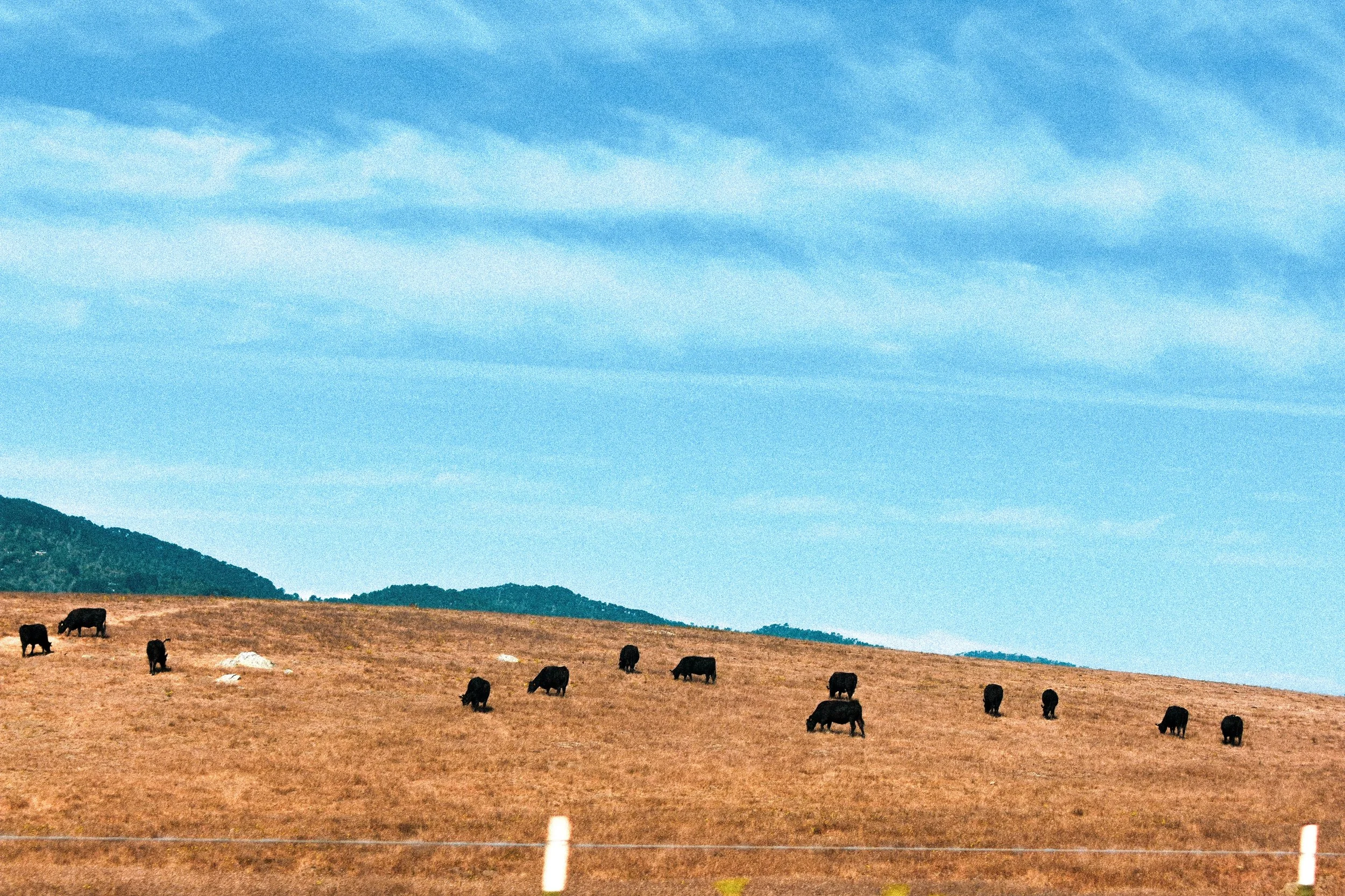 AJW_0469.jpg