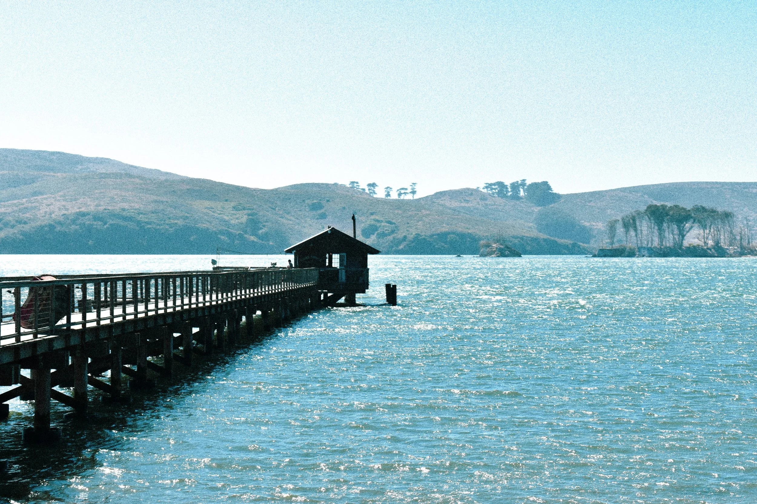 AJW_0319.jpg