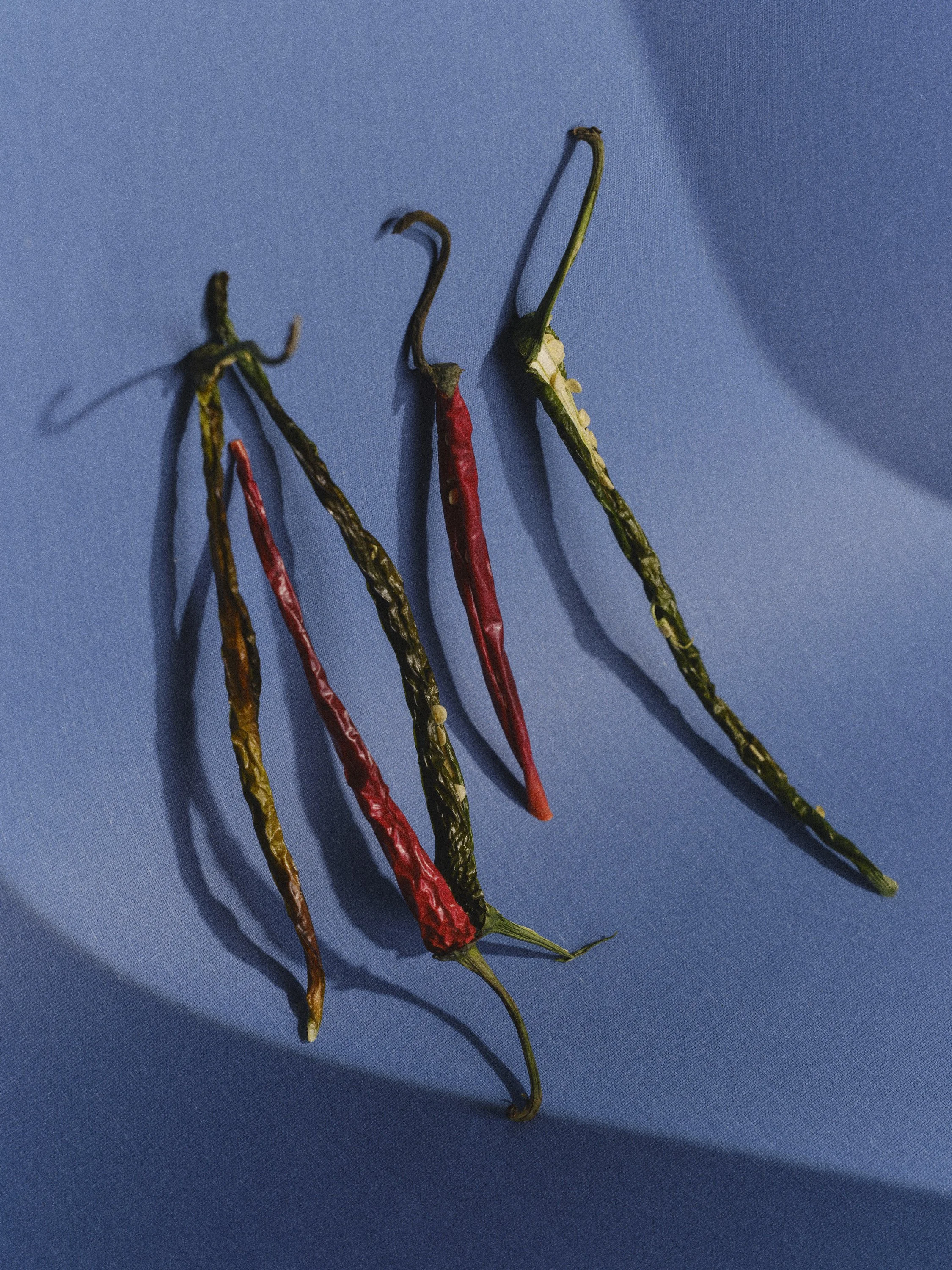 WEB_25-12-10_Toothsome Magazine_0588.jpg