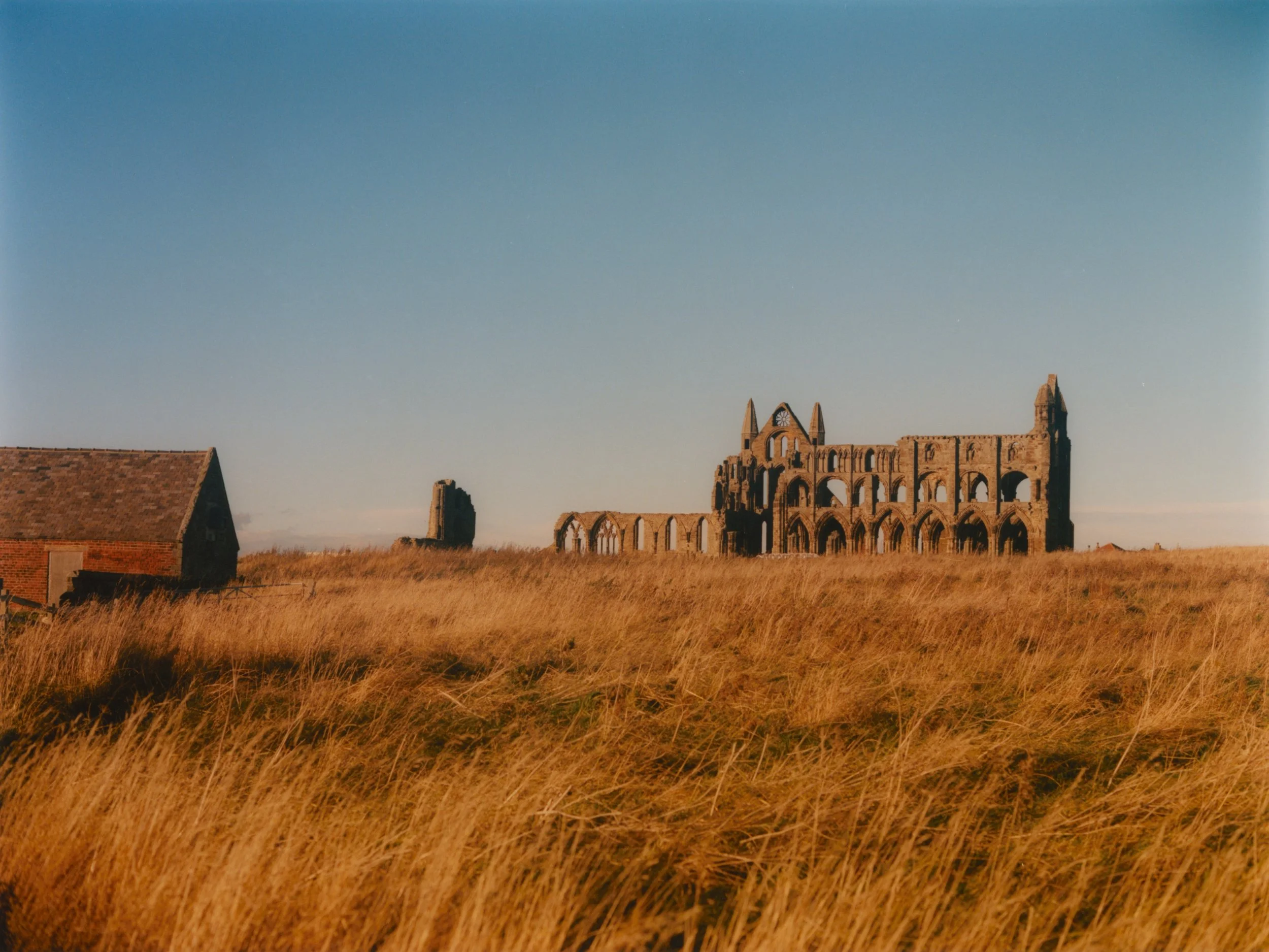 V.V_WHITBY_01.22_13.jpg