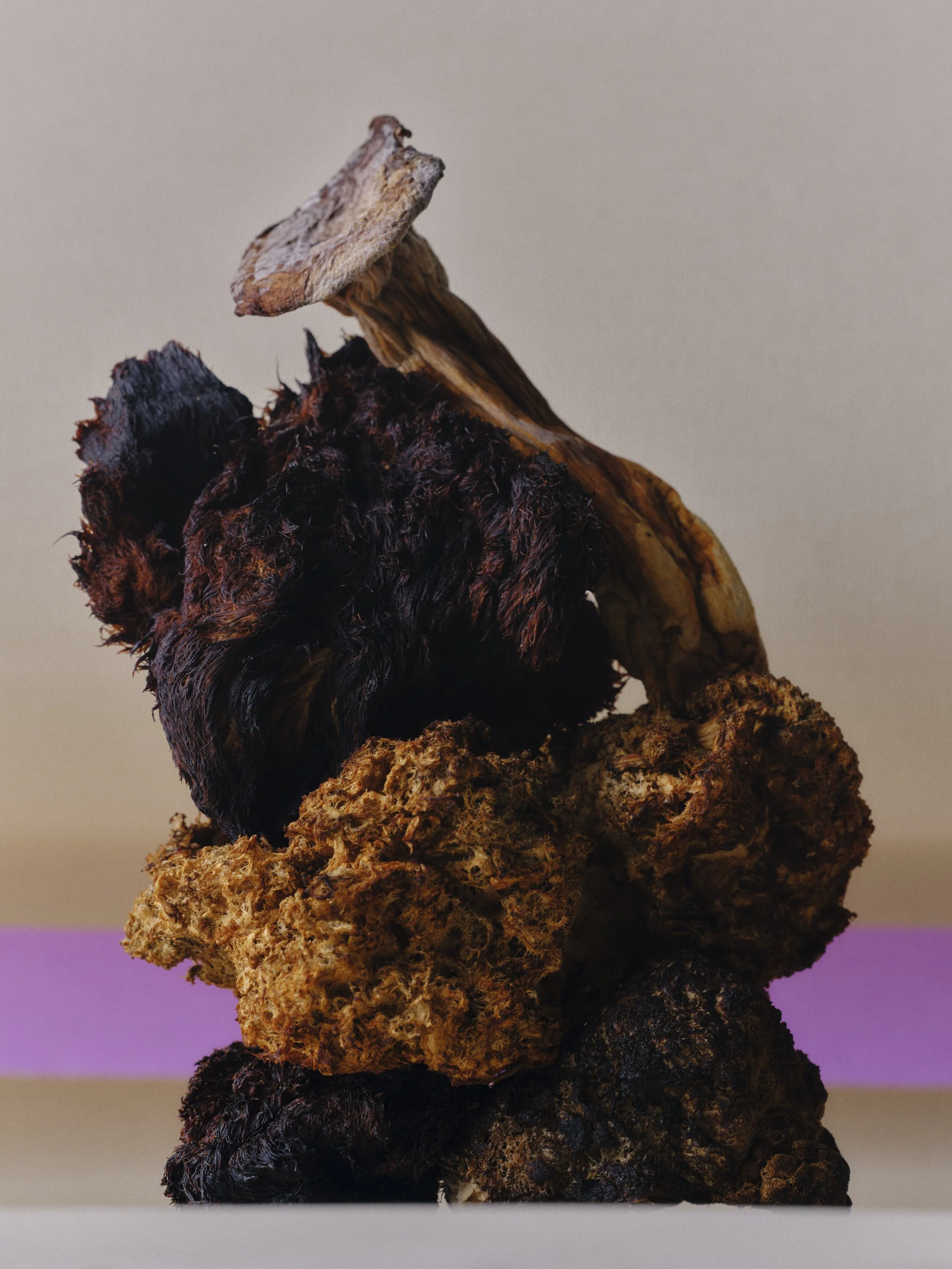 WEB_25-12-10_Toothsome Magazine_0424.jpg