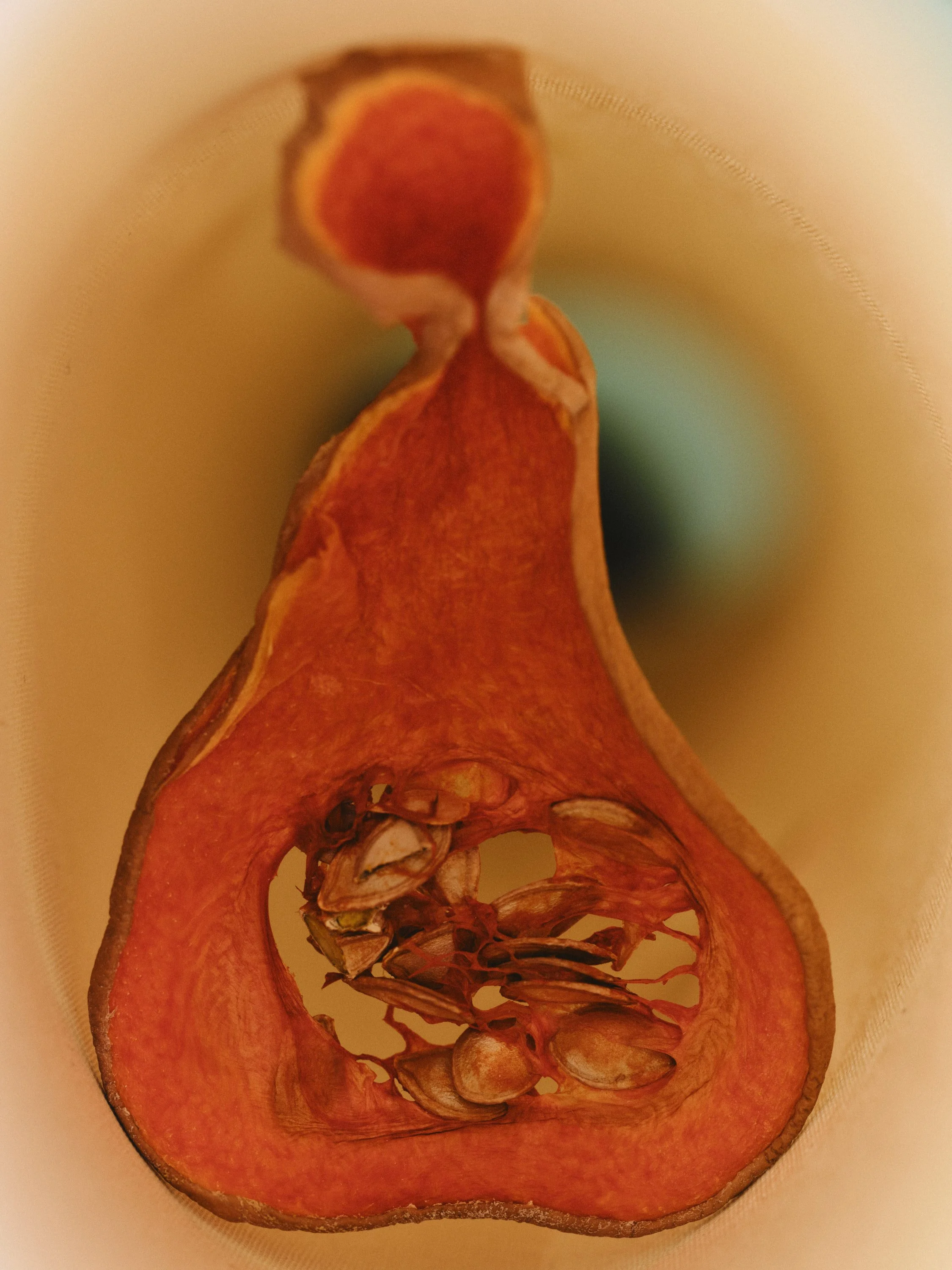 WEB_25-12-10_Toothsome Magazine_0647.jpg