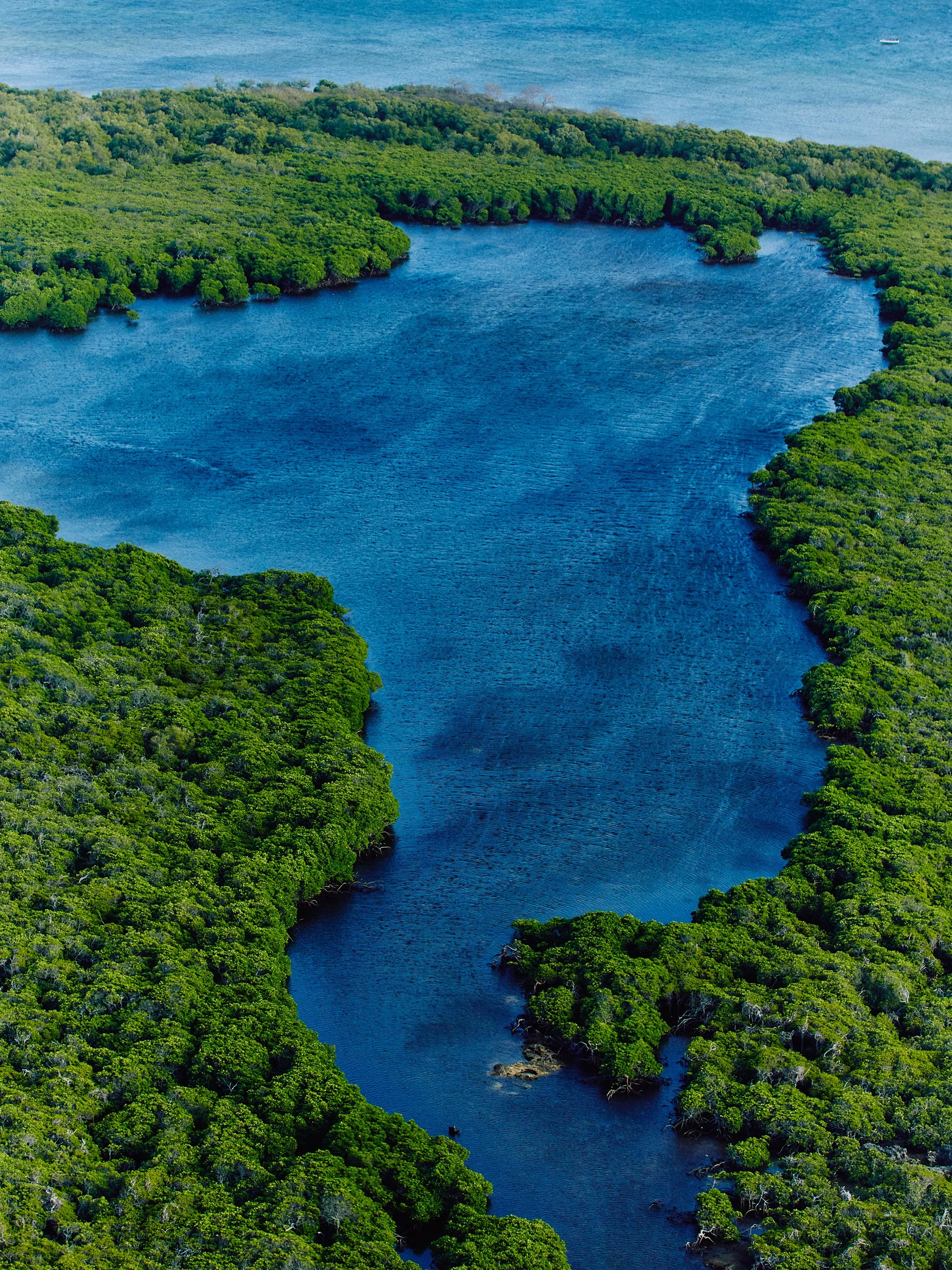 ATMOS_MADAGASCAR_PRINT_840A3811_1.jpg