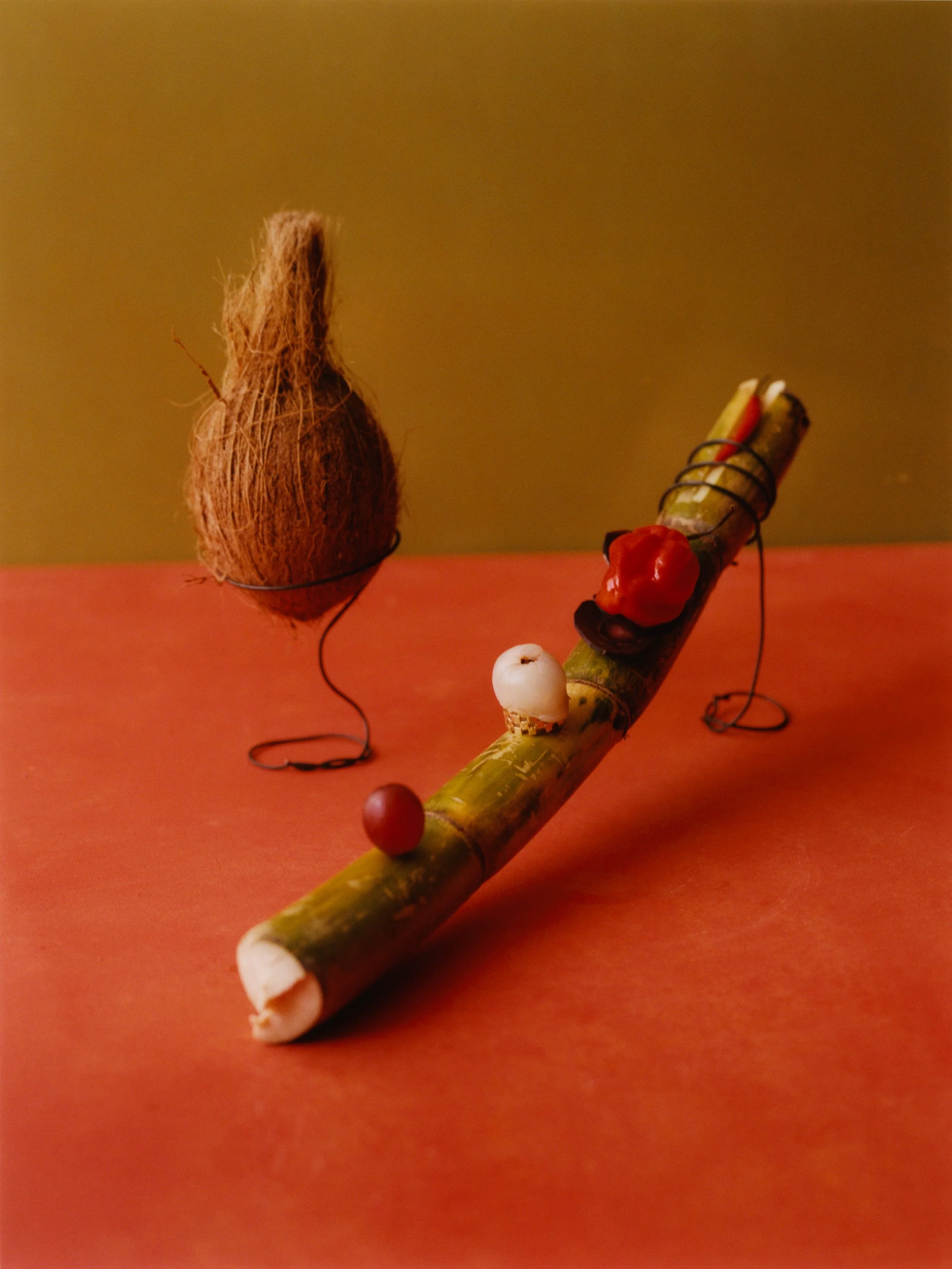 ATMOS_VV_ayurveda_WEB_ATMOS_V.V_03.21_07.jpg