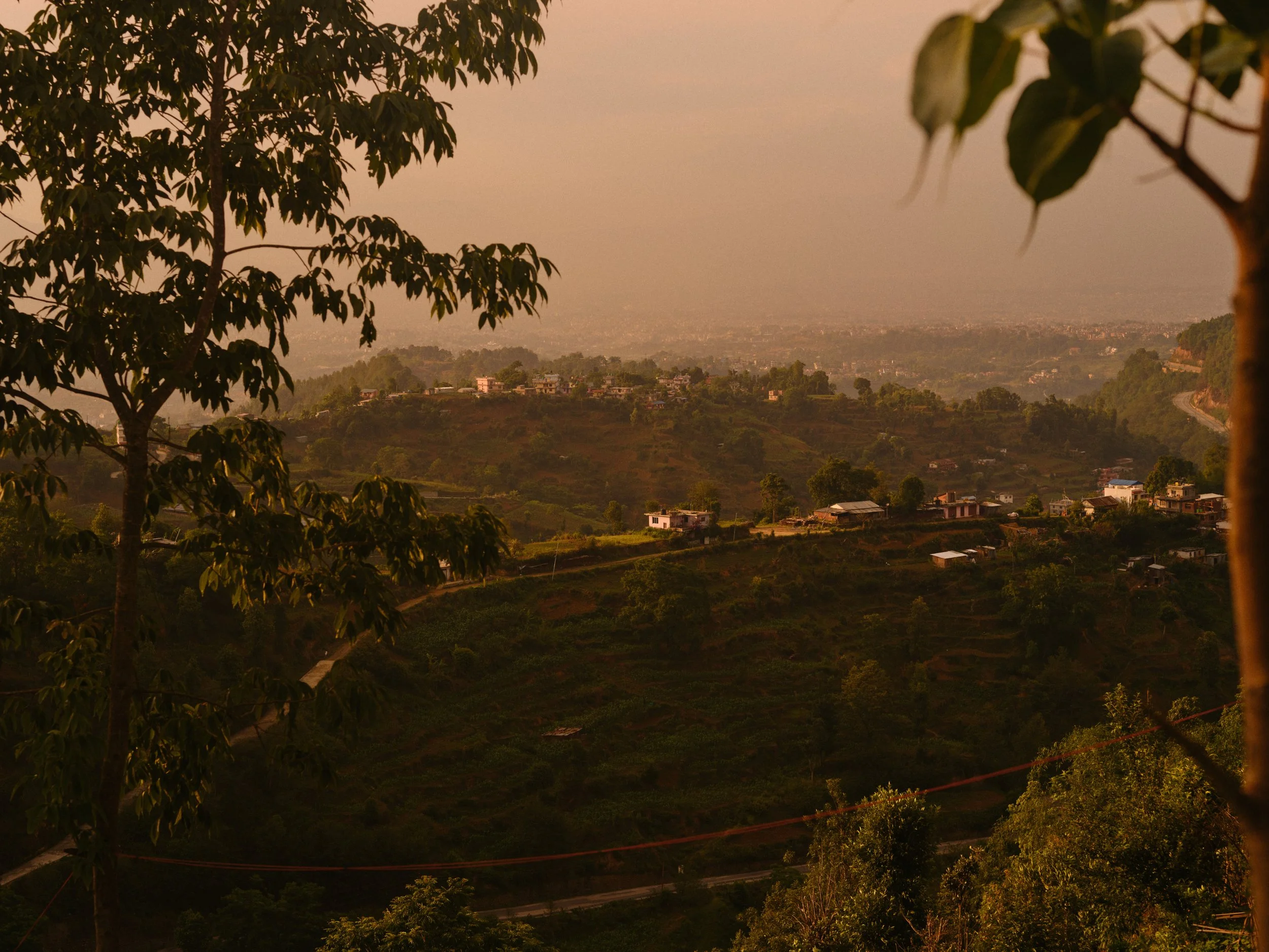 DSCF6428.jpg