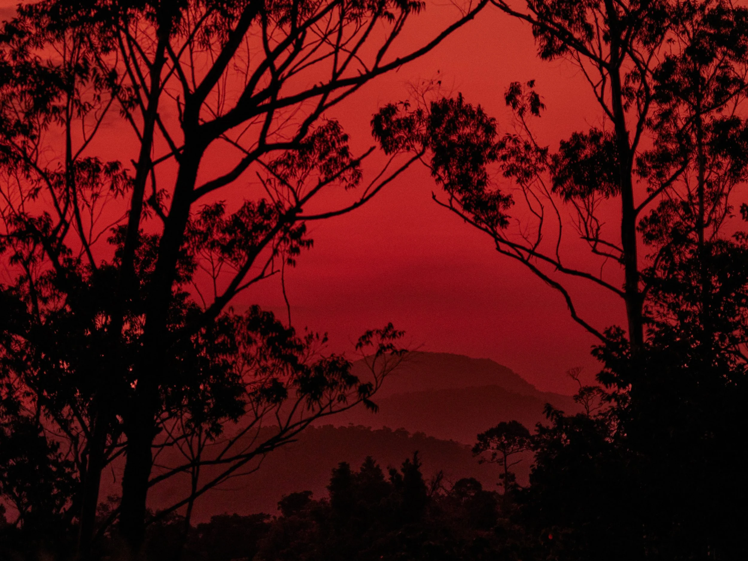 Retouched_Morning_DSCF1622_1.jpg