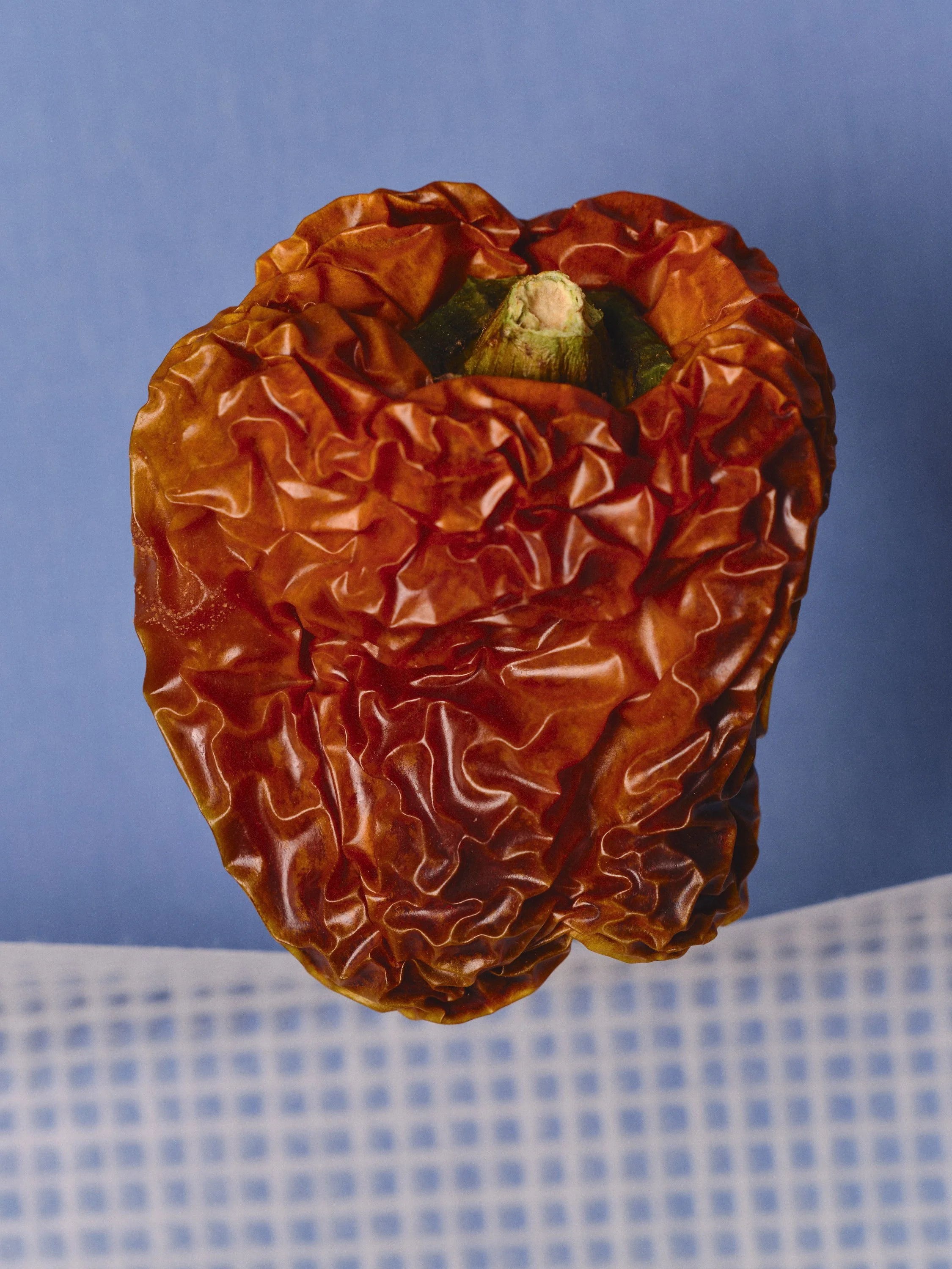 WEB_25-12-10_Toothsome Magazine_0447.jpg