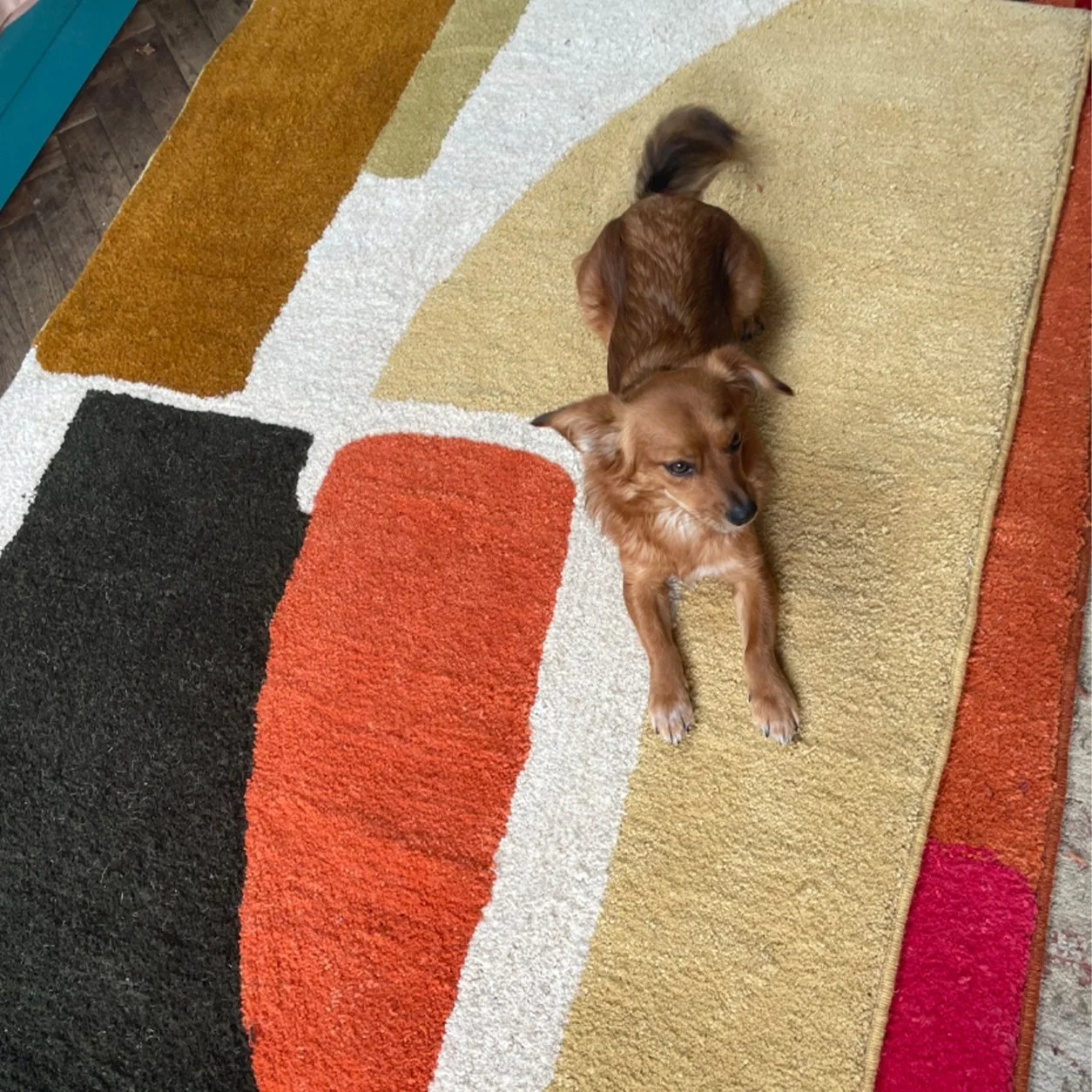 Sarah Burges_Lewes Artist_Rug_4.jpg