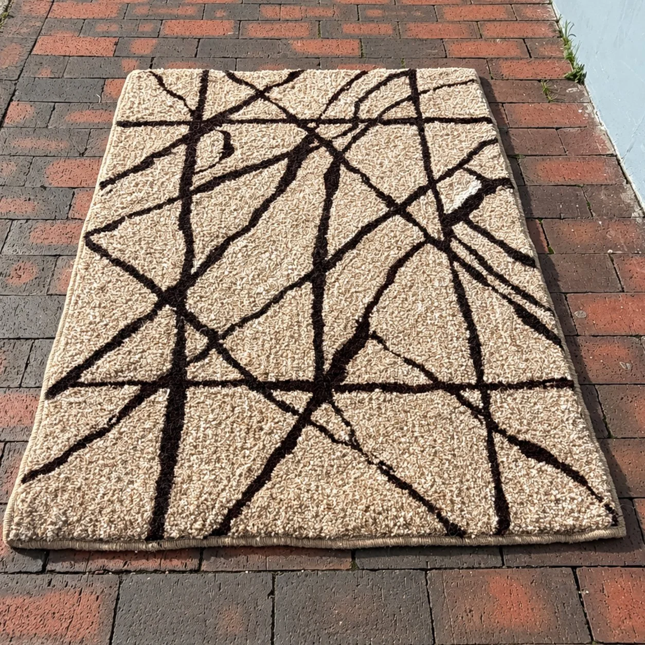 Sarah Burges_Lewes Artist_Rug_1.jpg