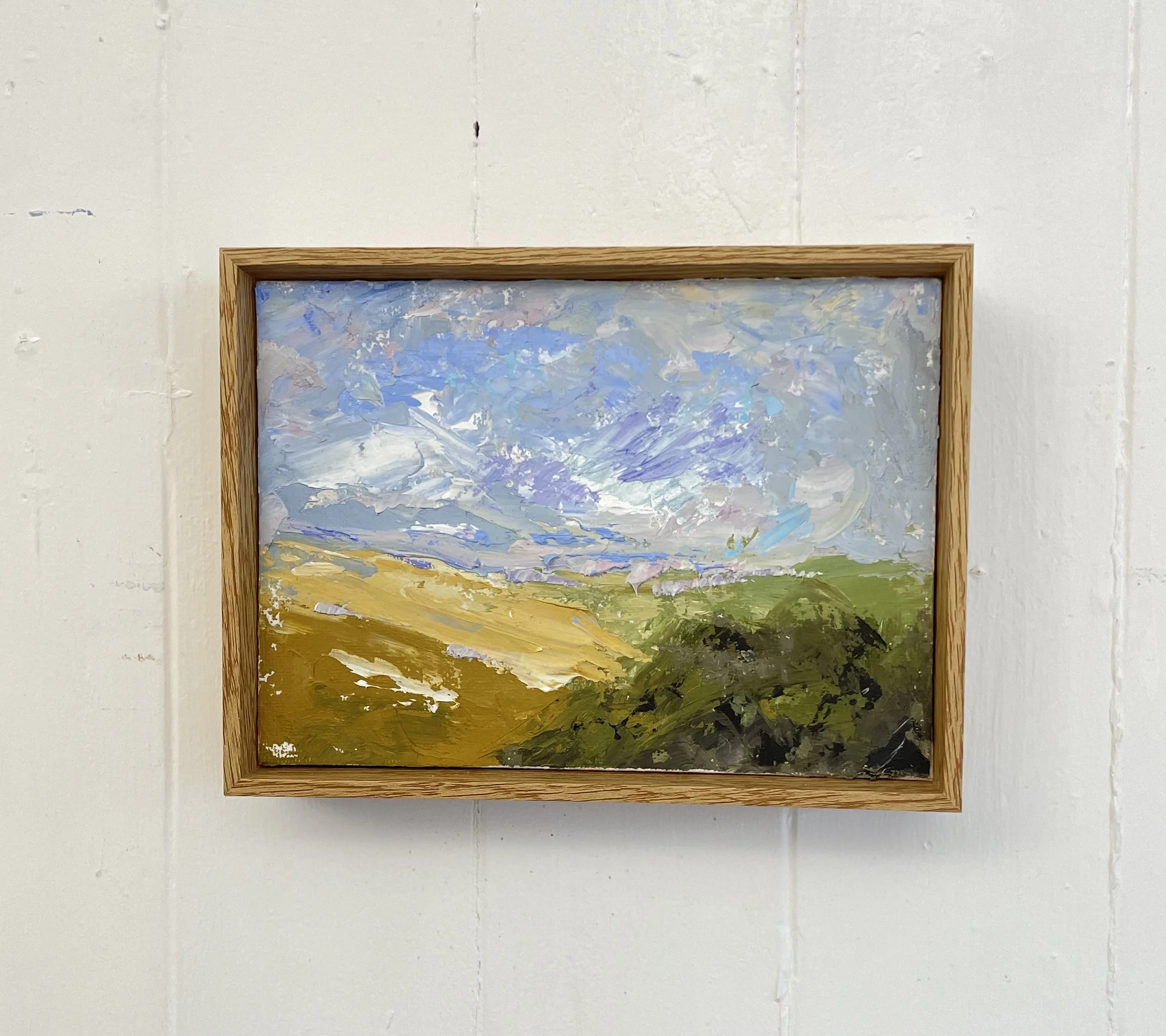 Summer day Black  Cap