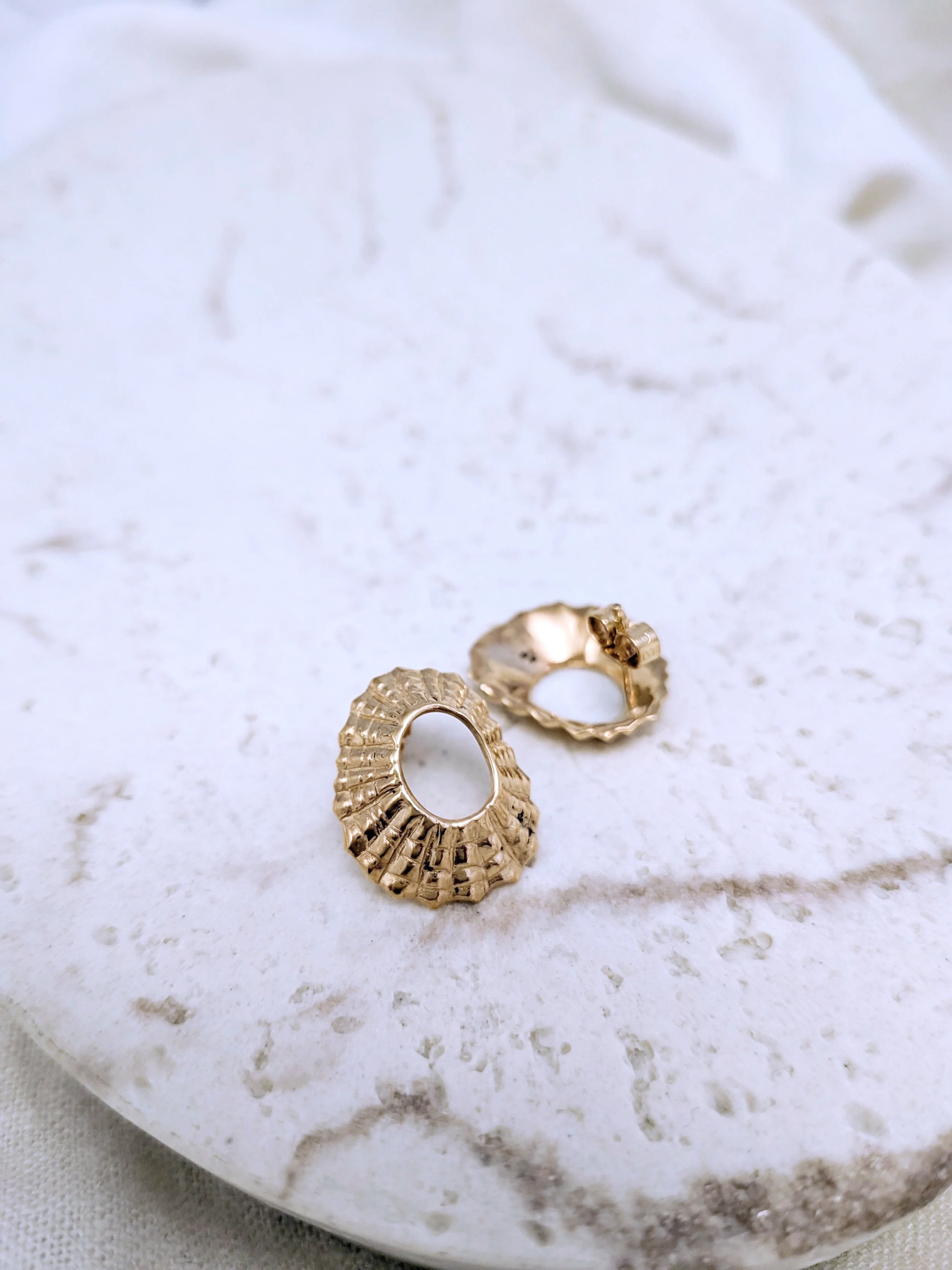 Gold+Plated+Limpet+Shells+Stud+Earrings.jpg