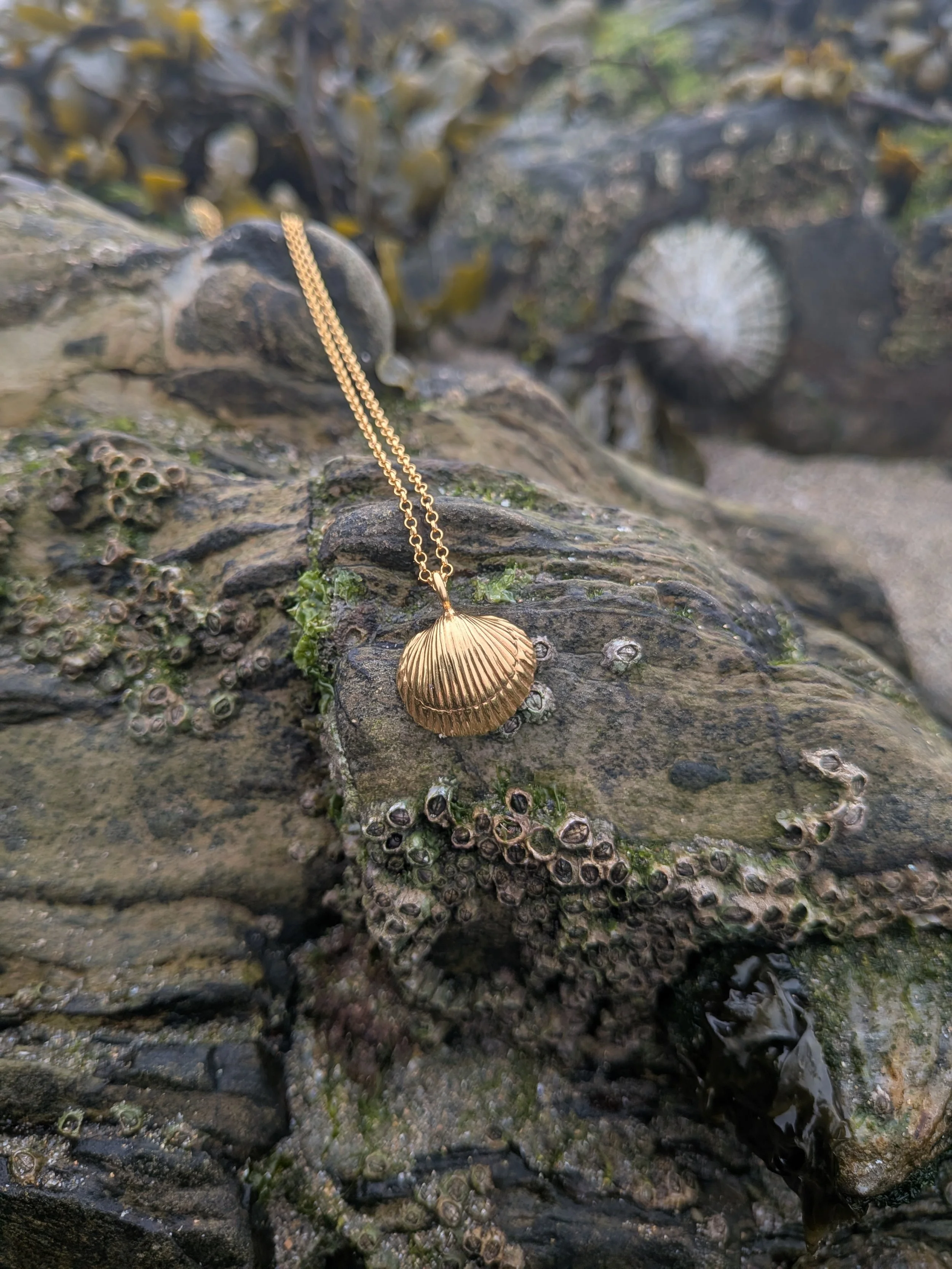 Shell Necklace