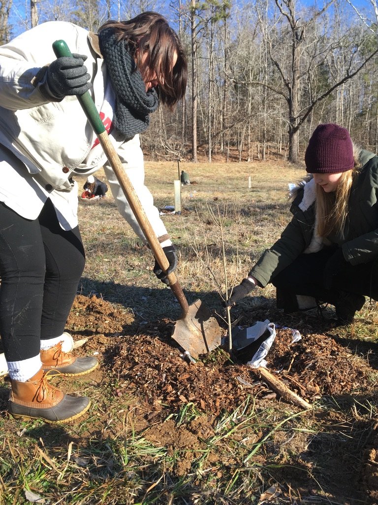 Tree Planting at Tambra Place