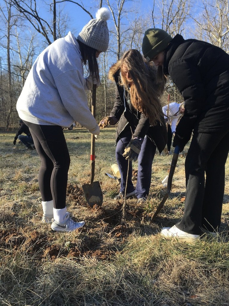 Pollinator Tree Planting