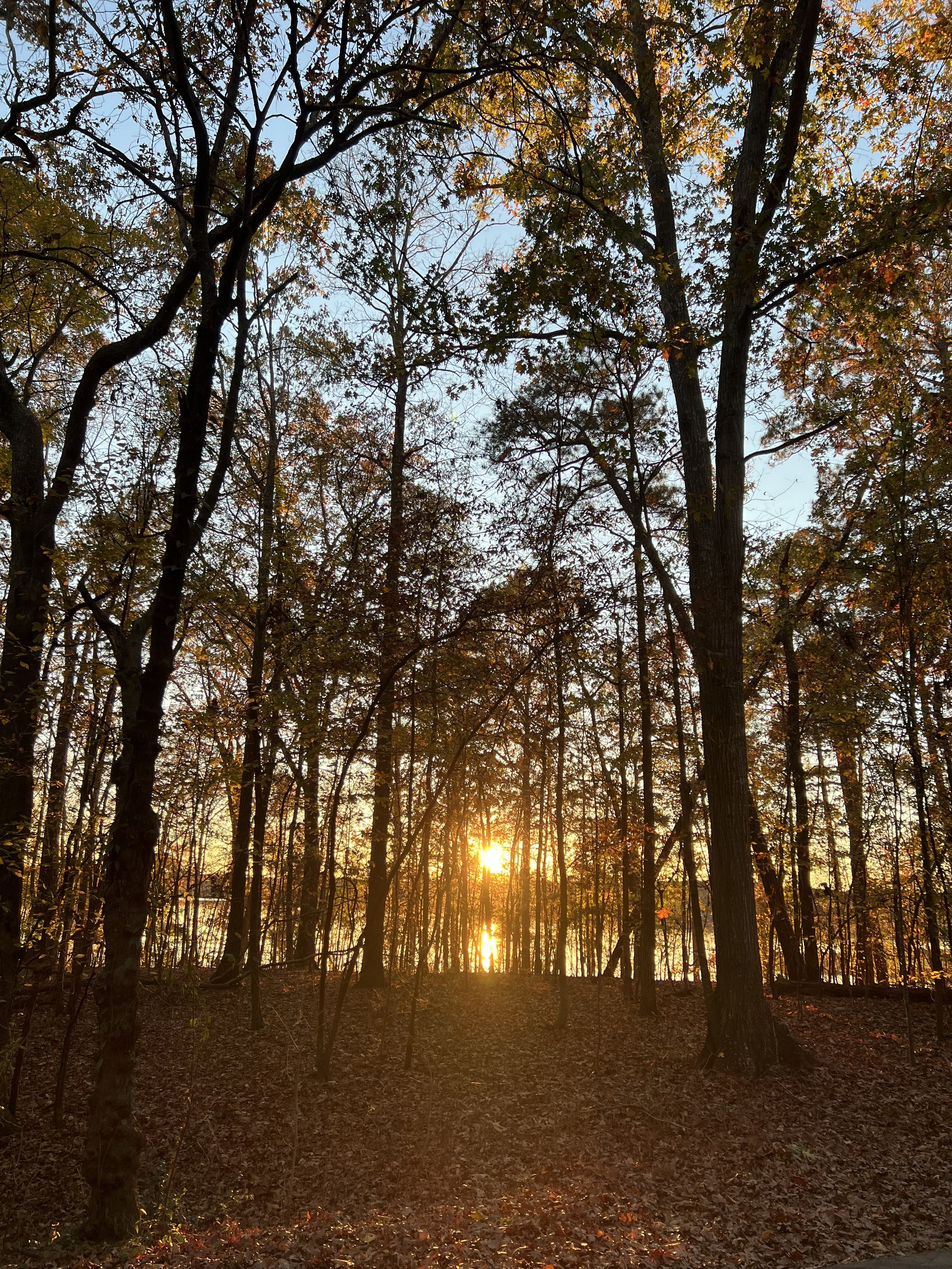 Support Lake Crabtree-Attend Public Meeting