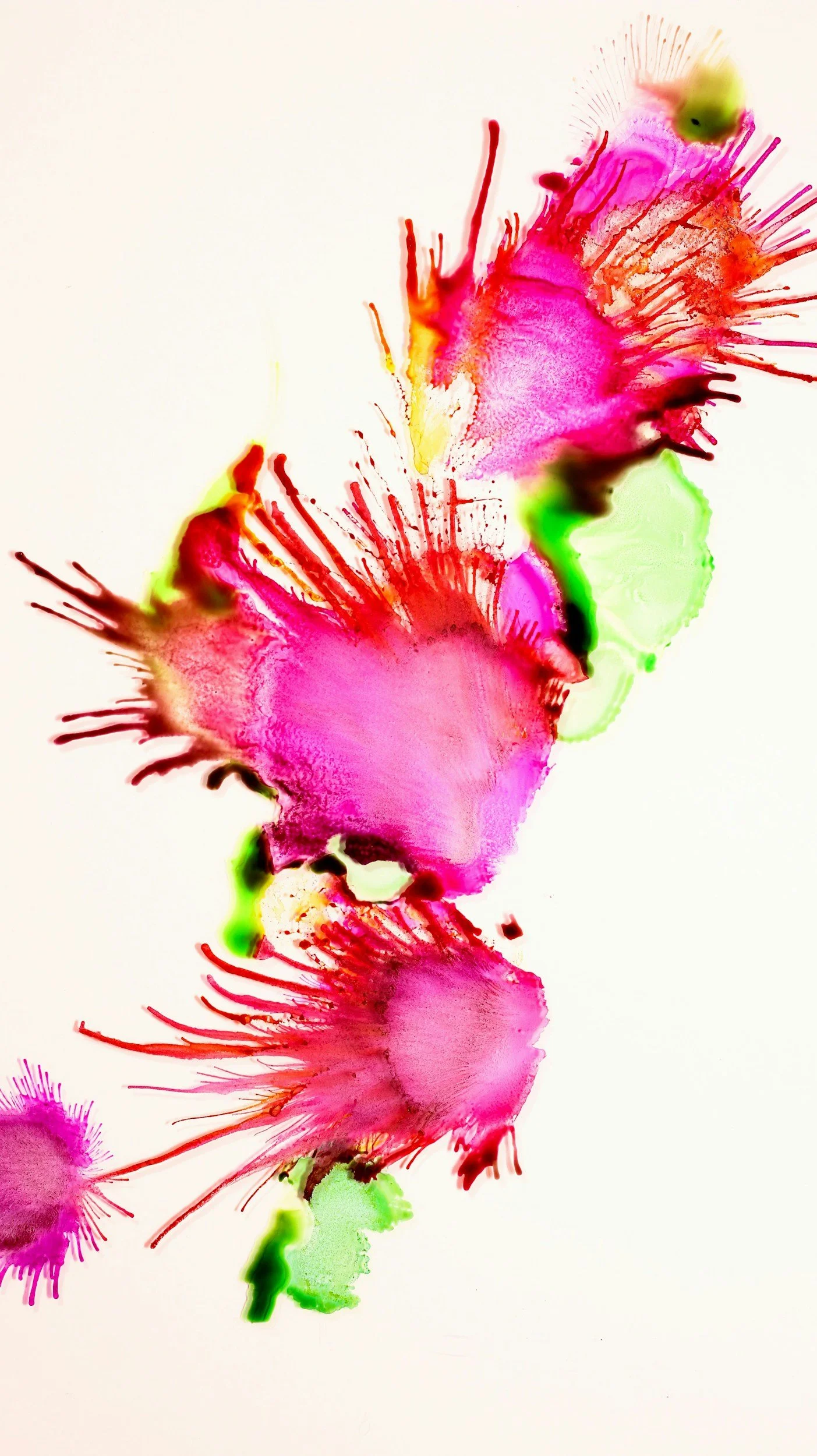 Exploration pour tous dès 8 ans