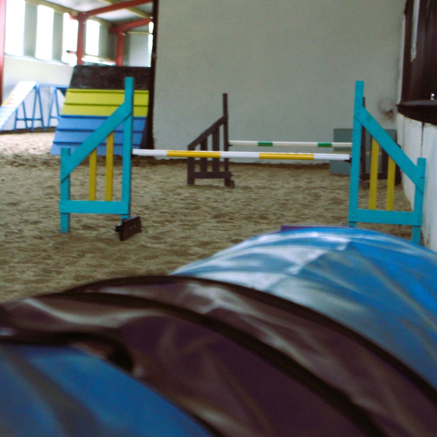 🌟 Tired of the rain and gloom dampening your pup's spirit? 🌧️🐶 

Don't let the weather be a buzzkill when your furry friend can have a blast at our amazing indoor dog play park! 🙌

Check out these pictures and you'll see why our park is a must-vi