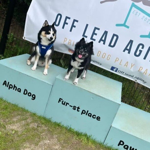 🐾🌳 &quot;Have you made plans for today with your pupper yet? 🐶🗓️

Why not give them the best start to the weekend with a play session at our INDOOR or OUTDOOR play parks? 🎾🌞

Book in on our website now and make your furry baby's tail wag with e