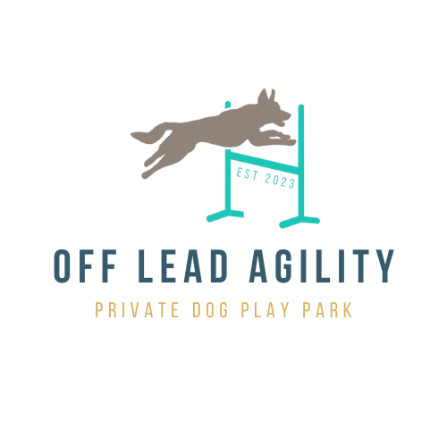 Off Lead Agility
