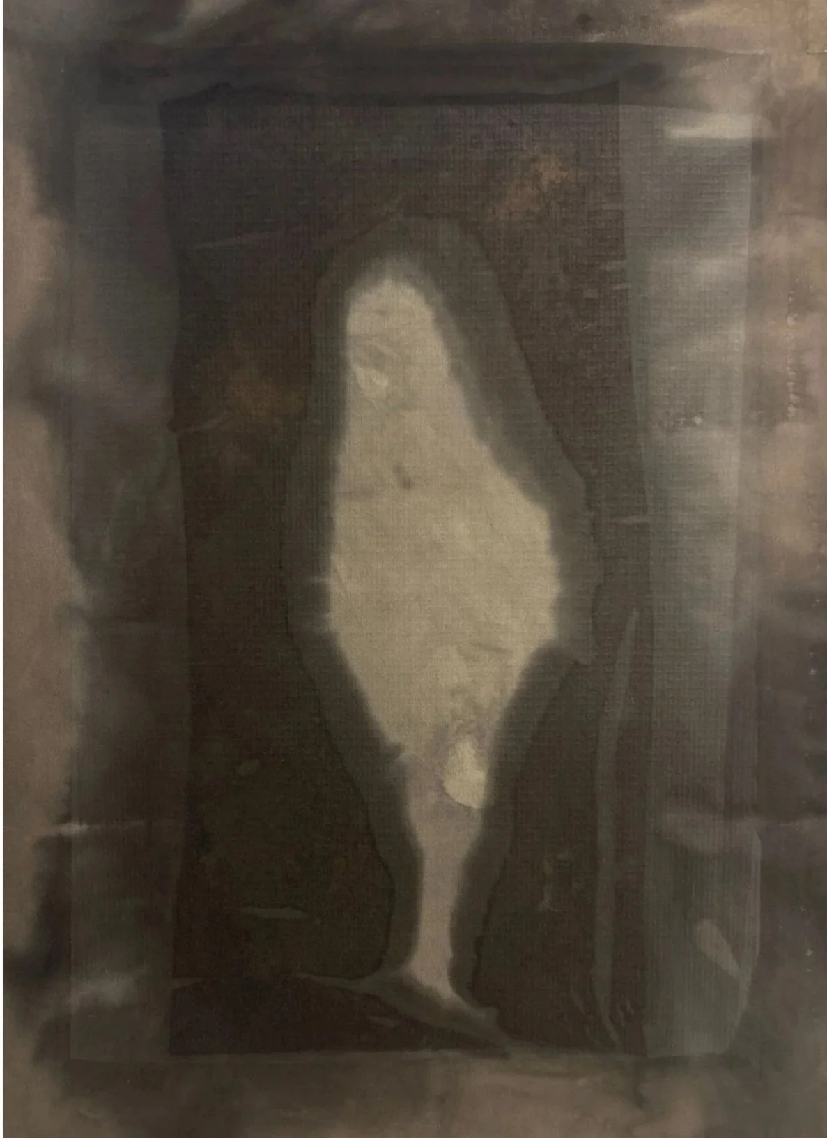 Erigeron canadensis
46 x 61 cm • pièce unique • empreinte de vergerette-du-Canada • oxydation sur plaque et teinture végétale vergerette-du Canada • soie