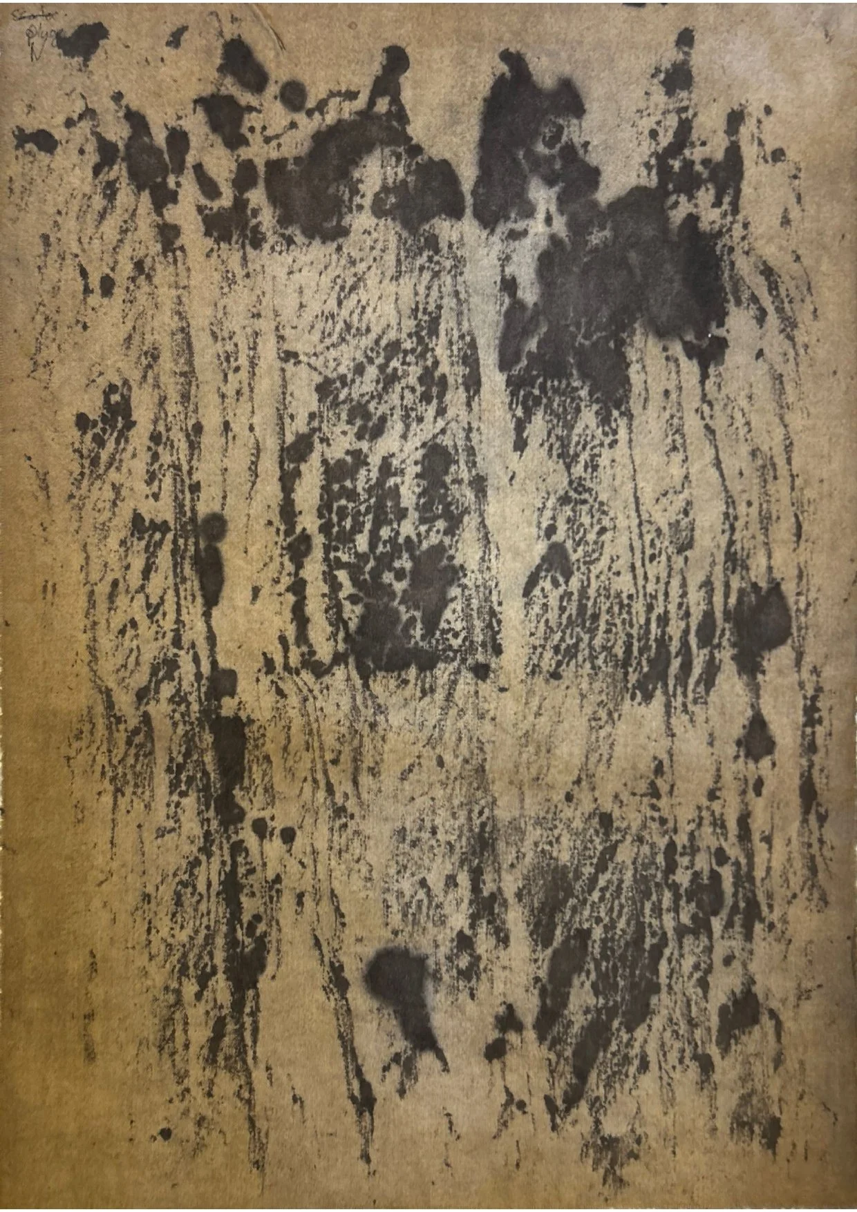 Spiaggia e Cala dell'Argentiera