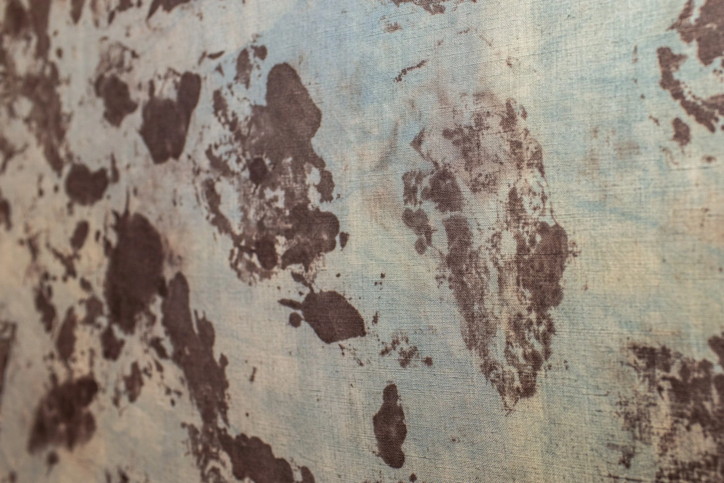 Détail empreinte huître