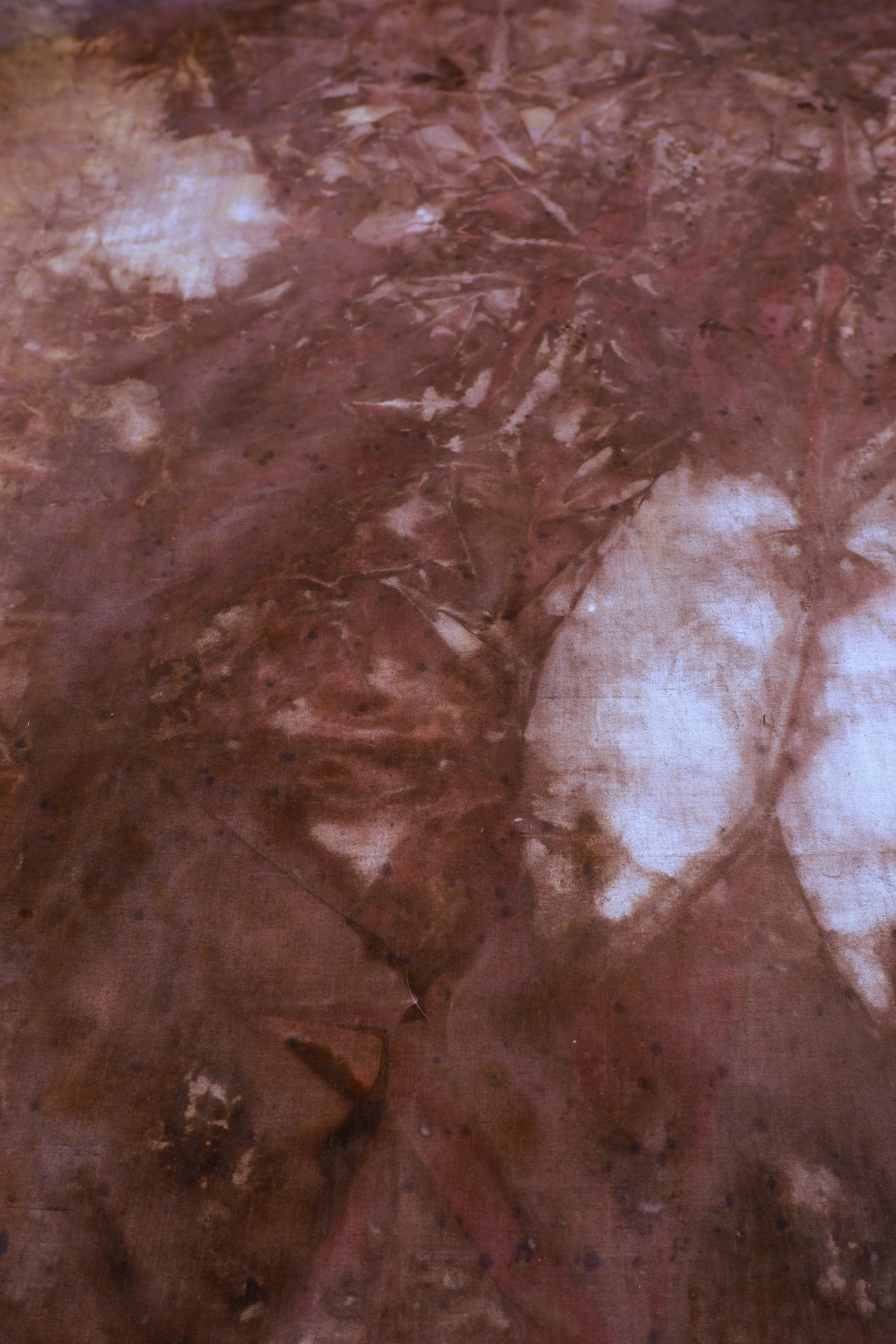 Détail Bassin ©Raphaël Muller