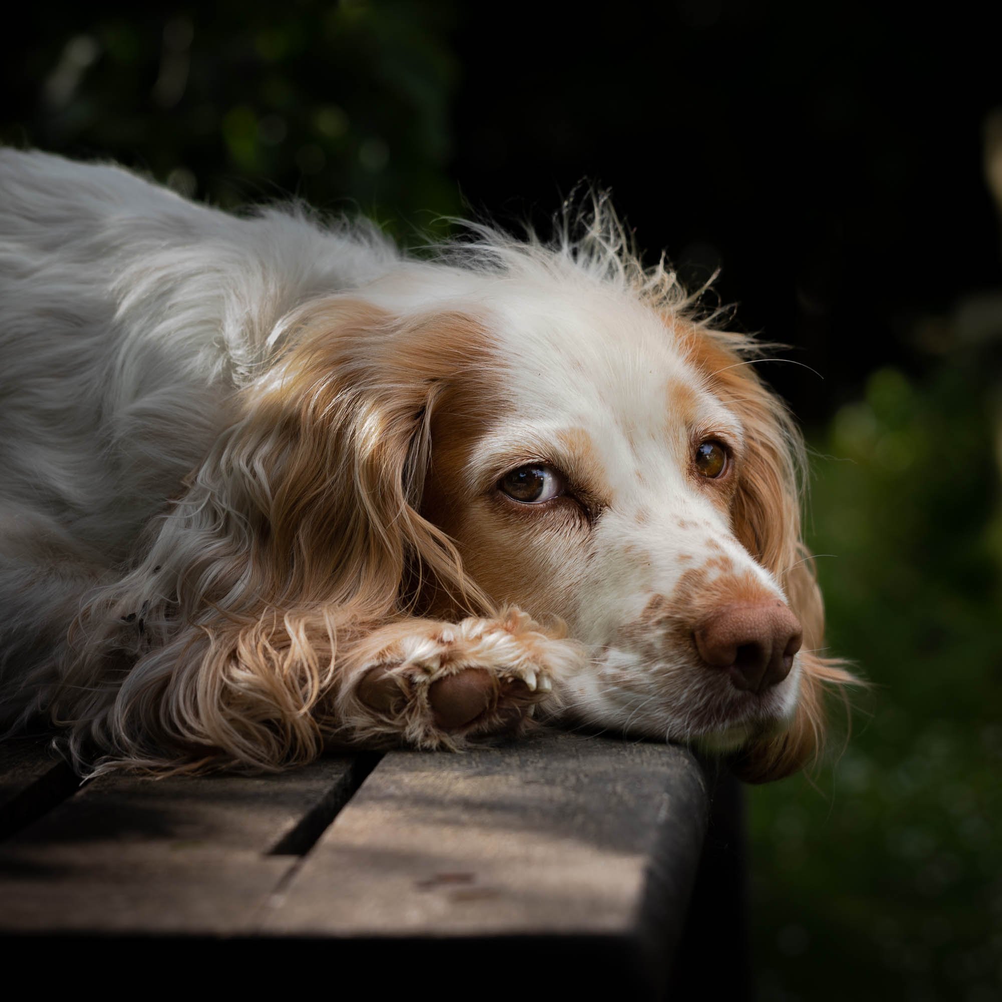 12Narla(72res)1N7A6353.jpg