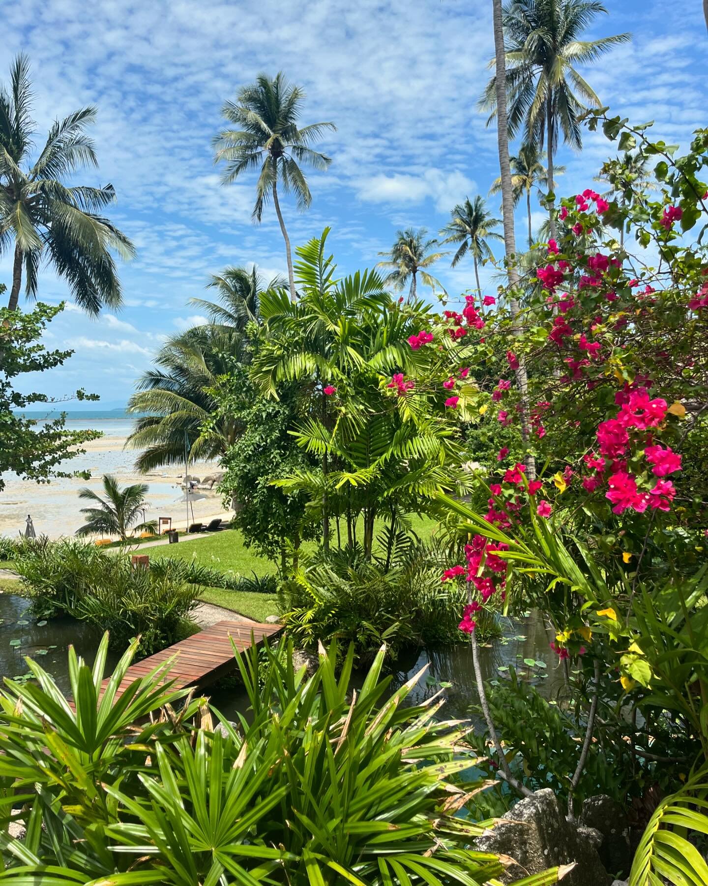 I&rsquo;ve been offline for most of the last week for a return visit to @kamalayakohsamui, one of my favourite places in the world 🩷 This place genuinely changed my life when I did the Embracing Change programme a few years ago, at a time with I was