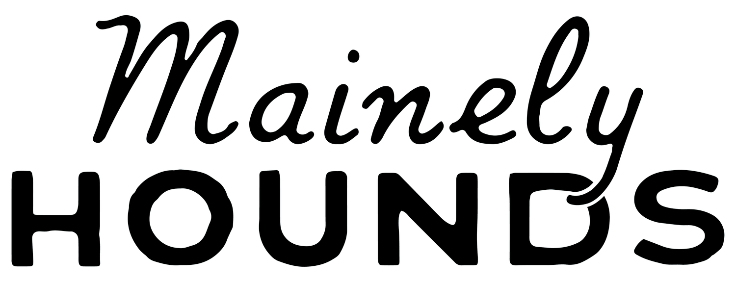 Mainely Hounds Dog Training