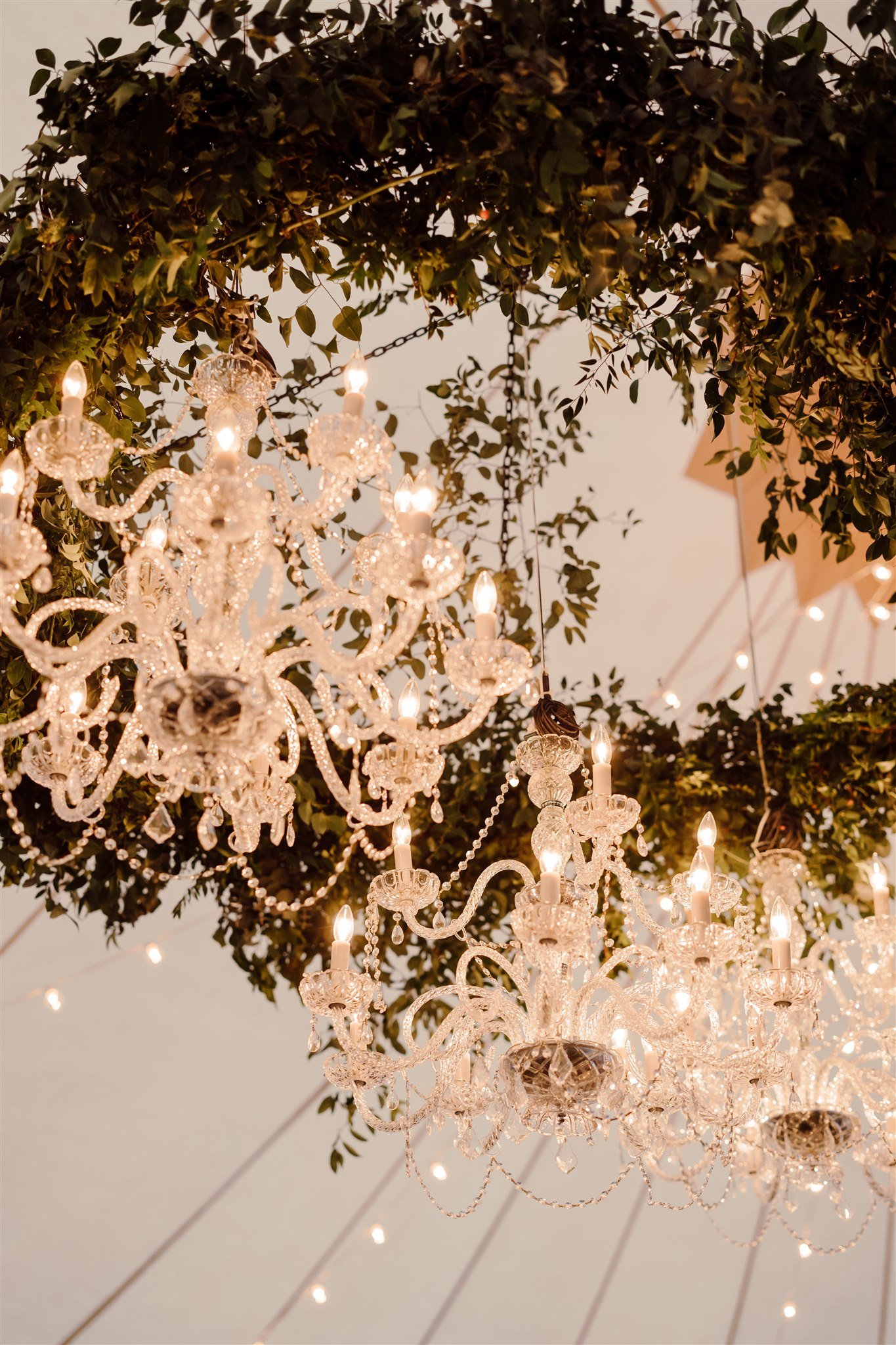 2530_julia+jonathan_wedding.jpg