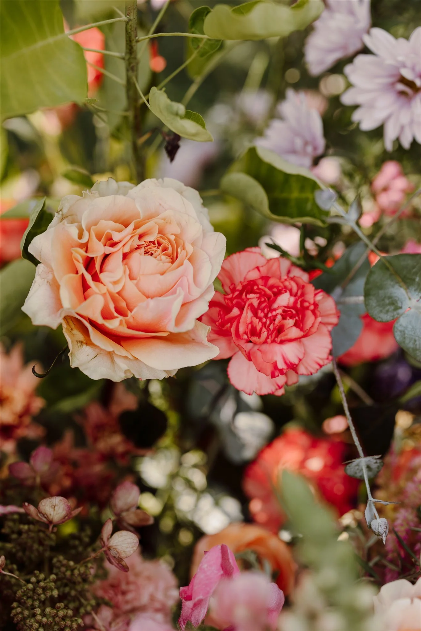 214_leda+andrew_weddingsneakpeek.jpg