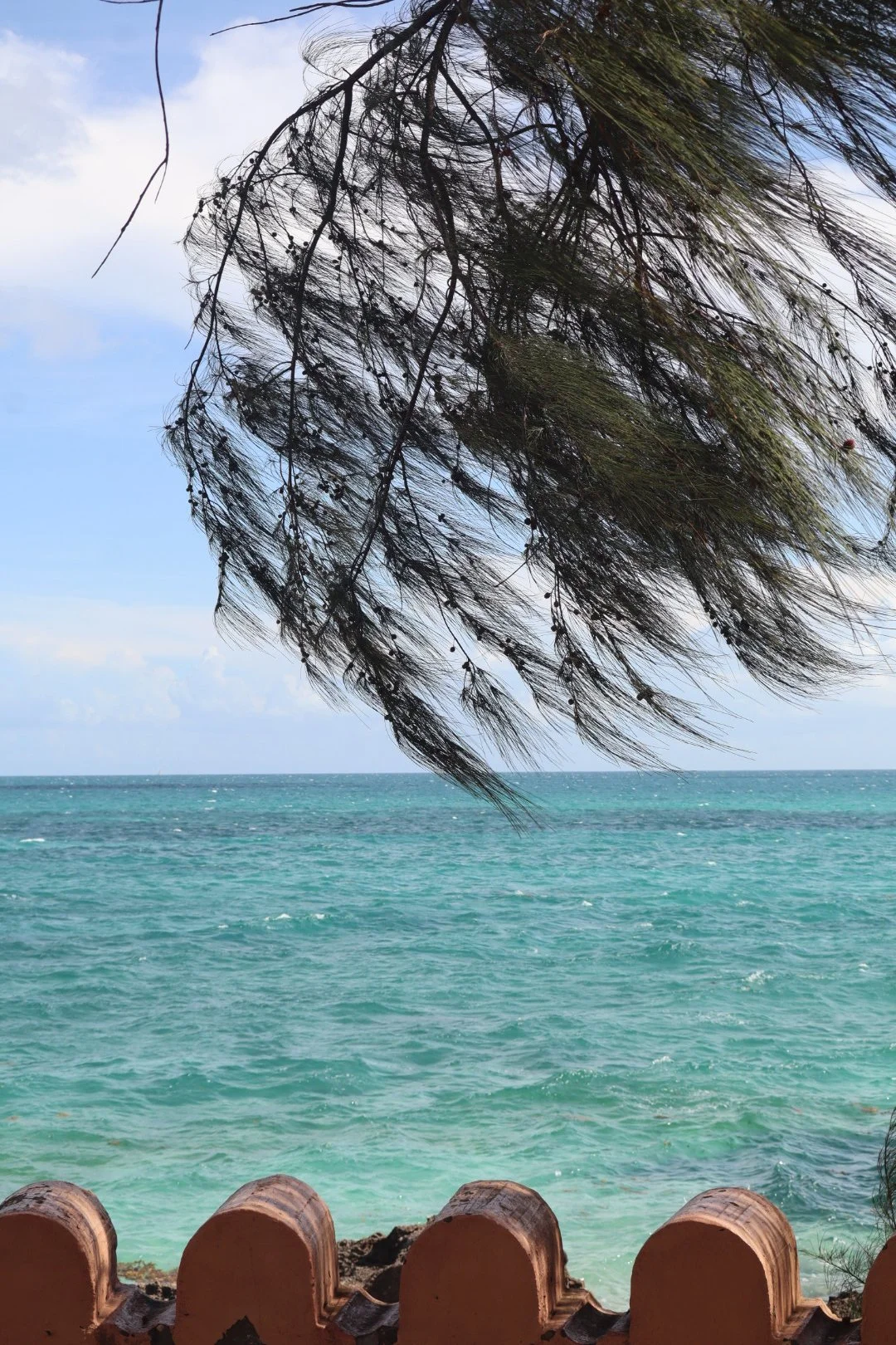 ZANZIBAR: Opening Credits